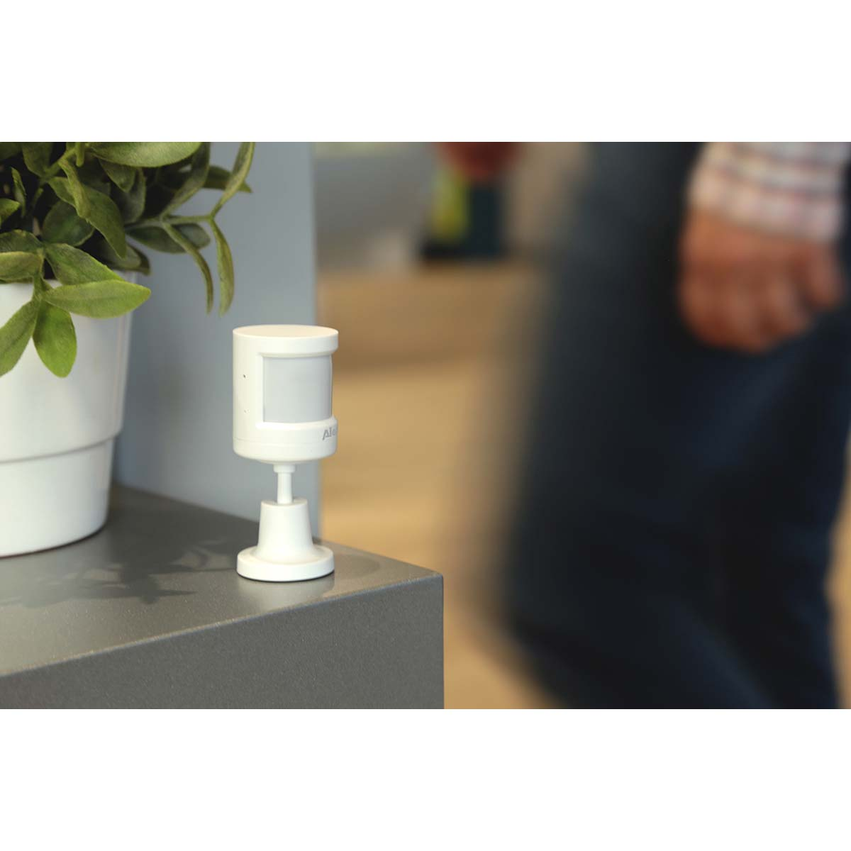 A white motion sensor stands beside a potted plant on a shelf.