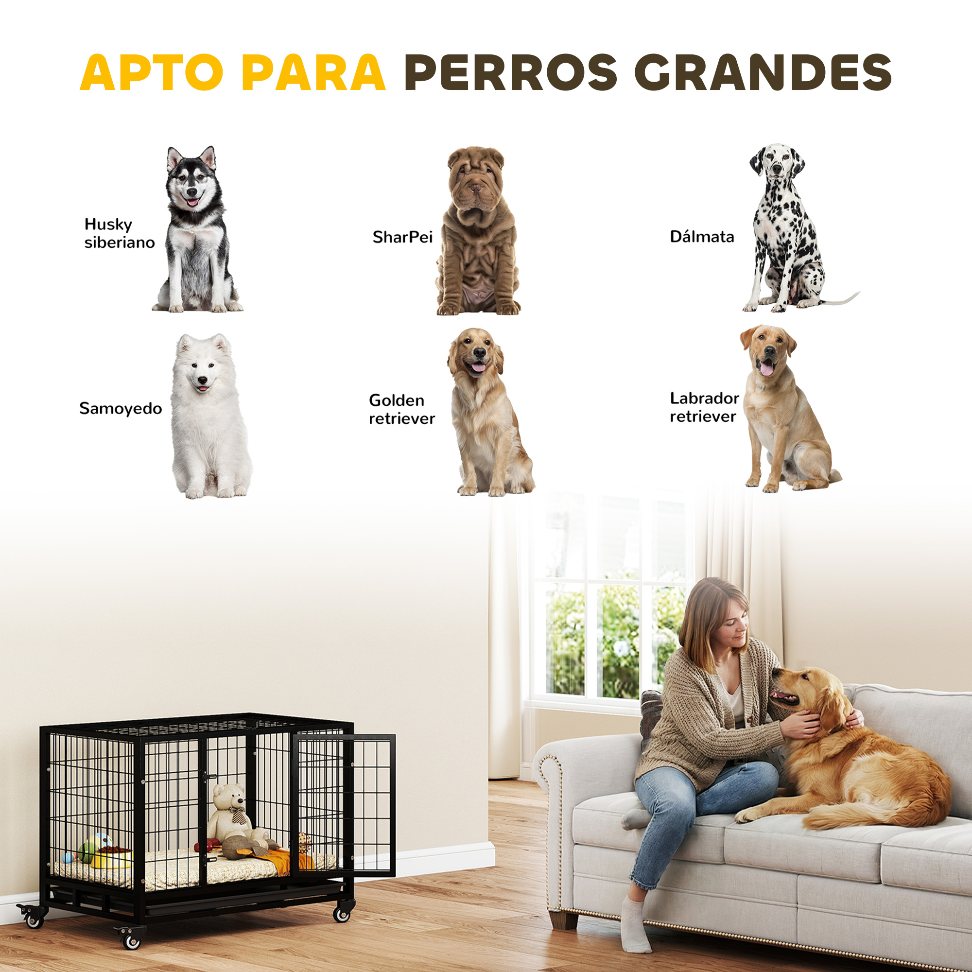 Seis perros: Husky, SharPei, Dálmata, Samoyedo, Golden Retriever, Labrador. Una jaula y una mujer con perro.