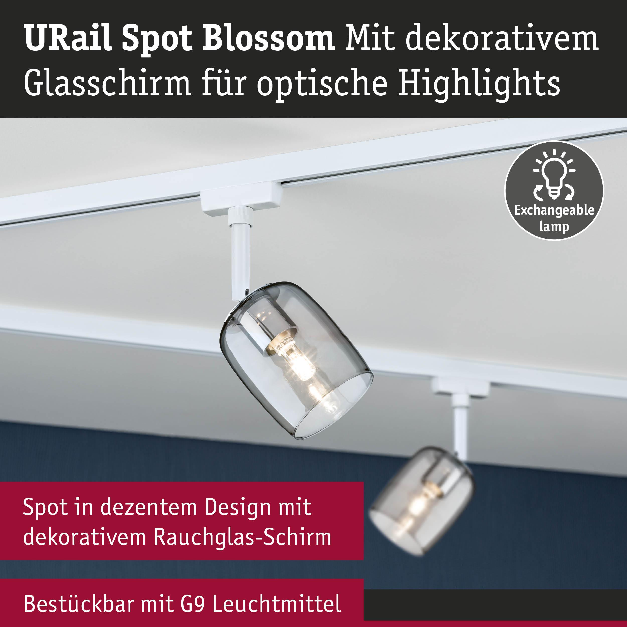 Zwei schwenkbare Deckenstrahler mit rauchglas Schirm an einer weißen U-Schiene.