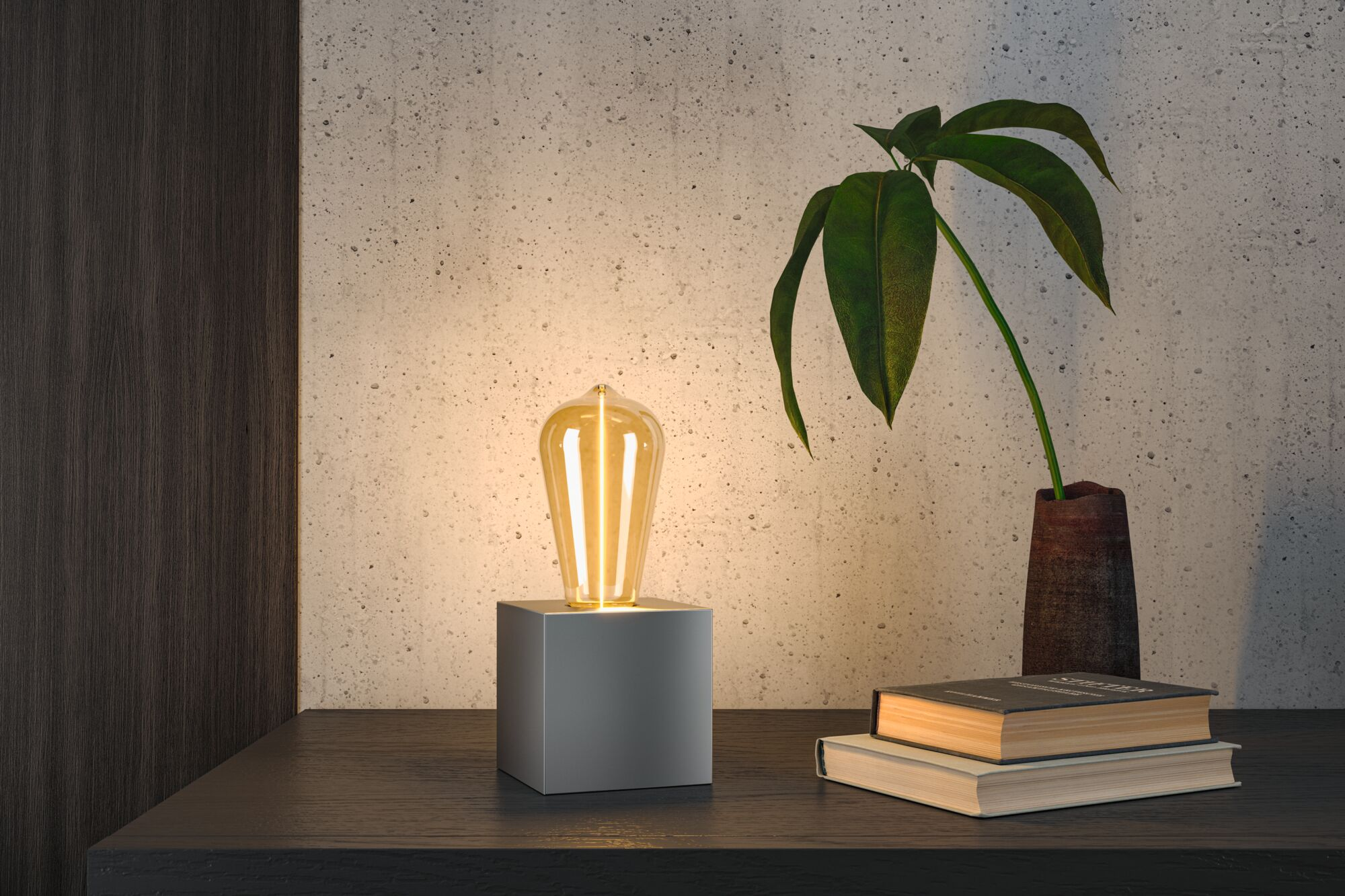 Une ampoule sur un cube, à côté de livres et d'une plante dans un vase.