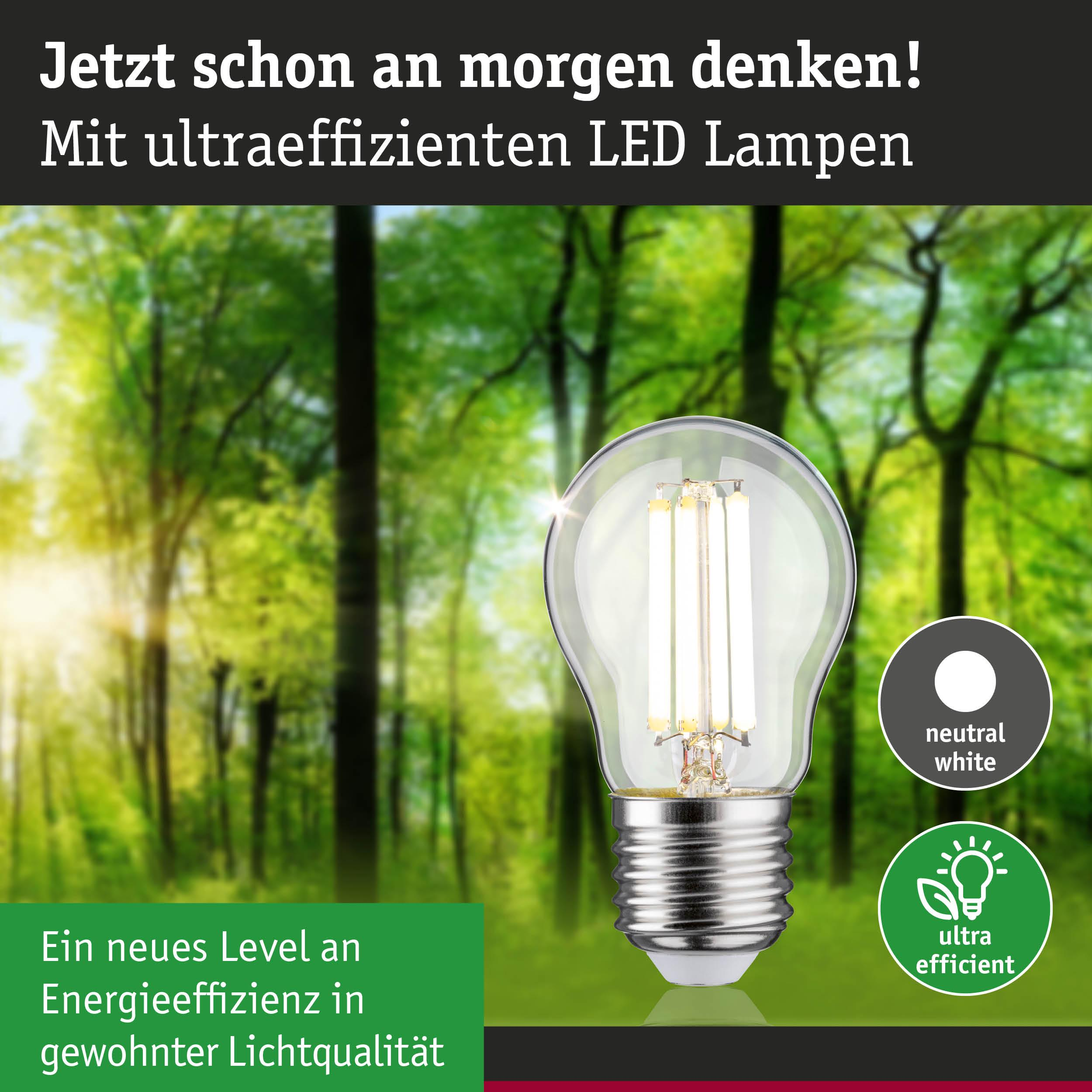 Eine LED-Lampe vor einem Wald. "Denk jetzt schon an morgen!"