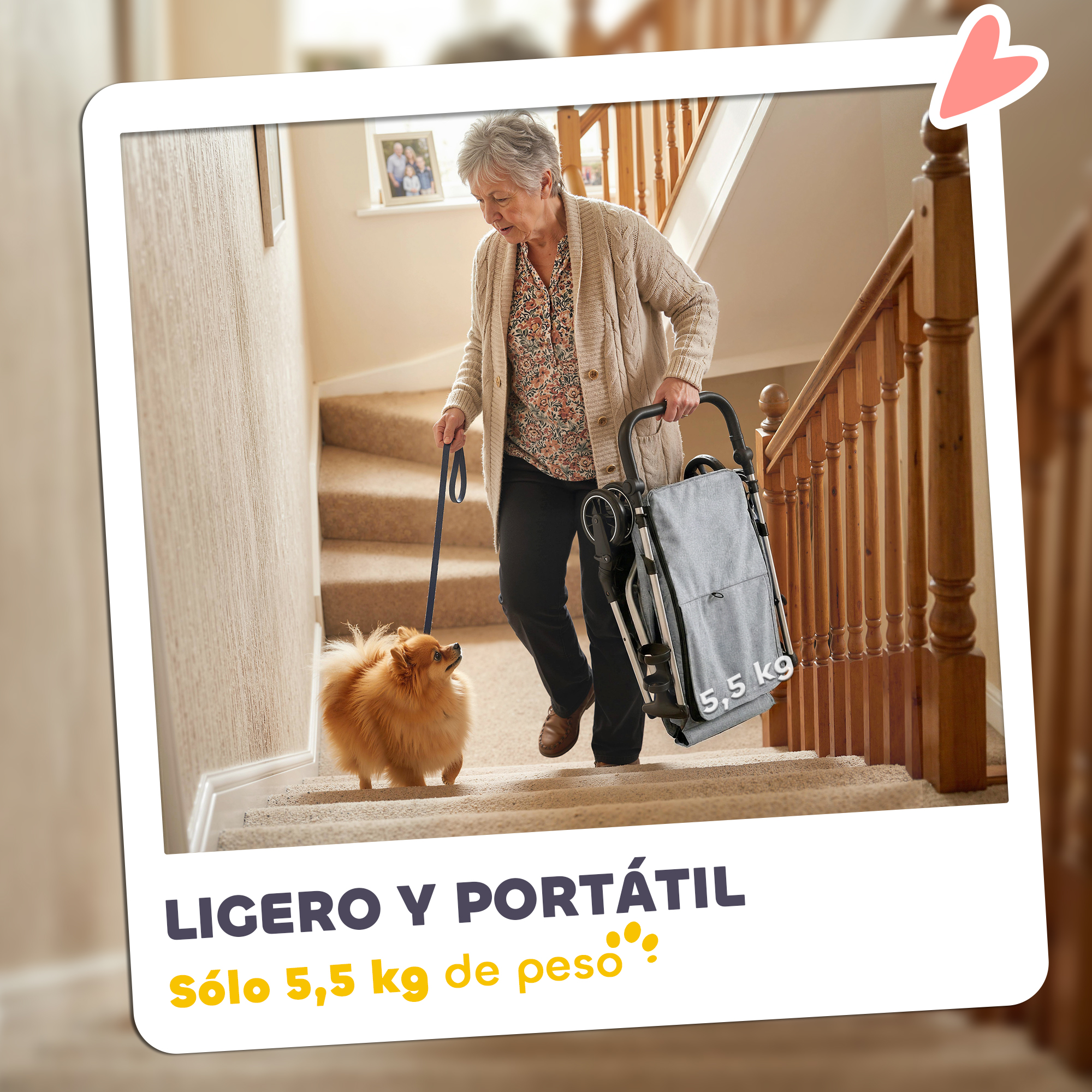 Una anciana sube escaleras con un perro y un carrito de compras.