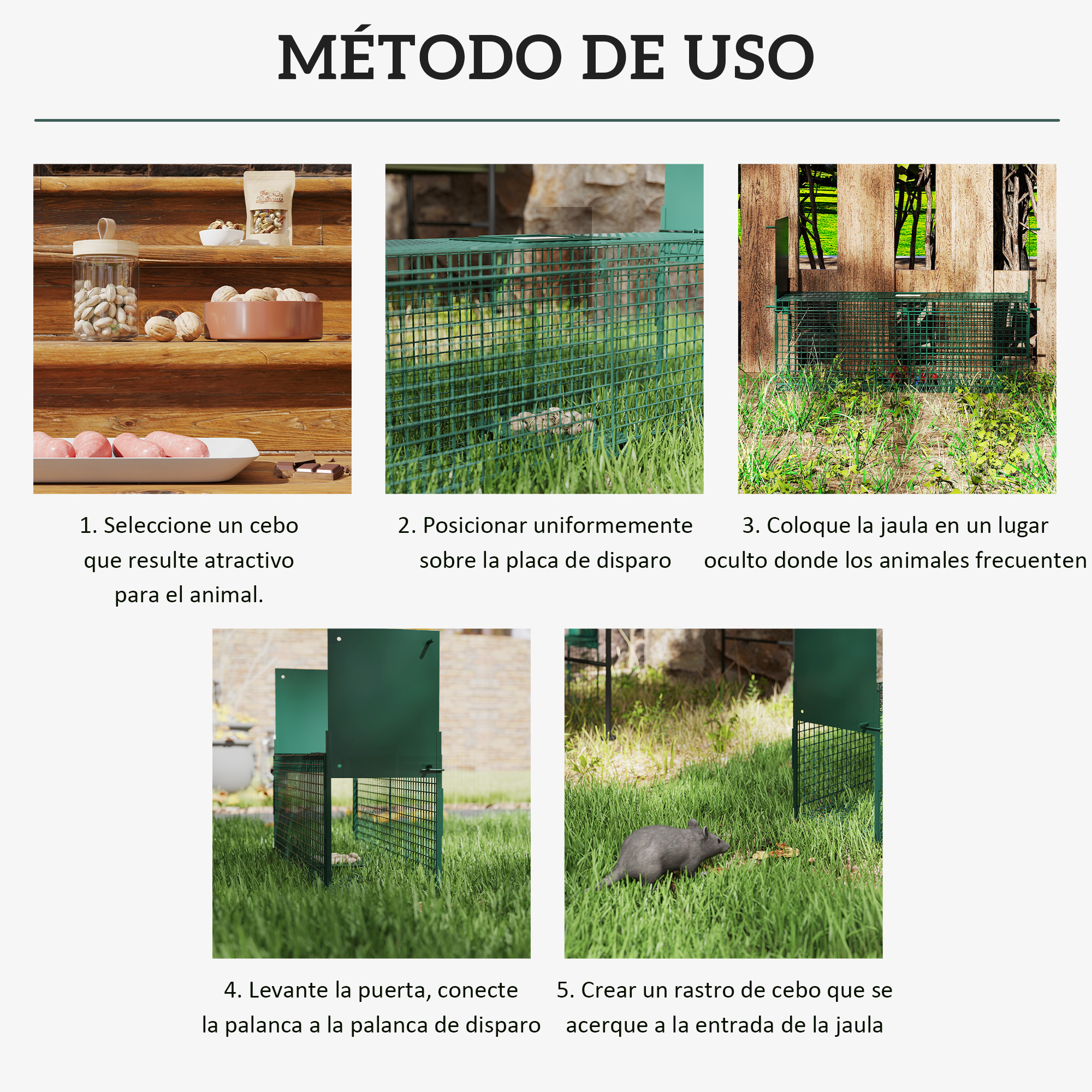 Guía paso a paso de cómo usar una trampa para animales con cebo.