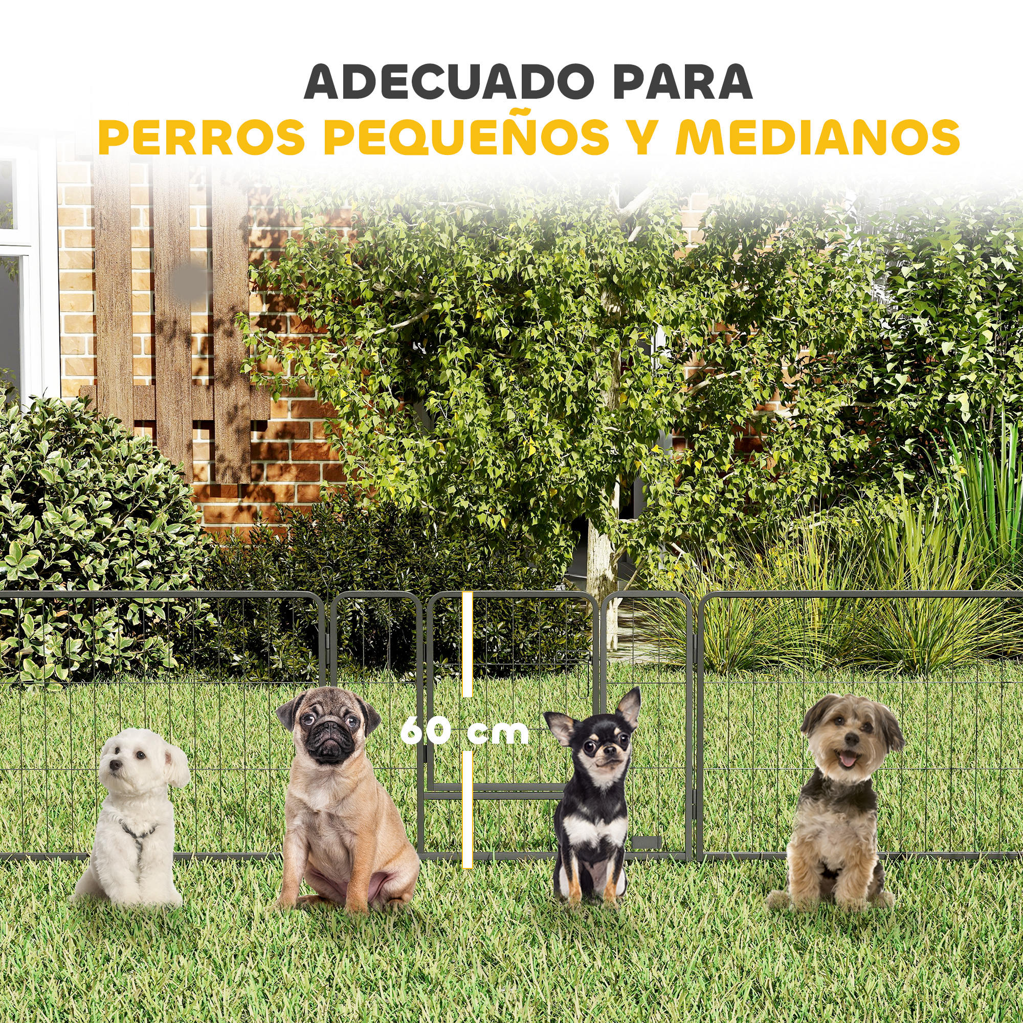 Cuatro perros sentados tras una valla en el jardín. Un cartel indica 60 cm.