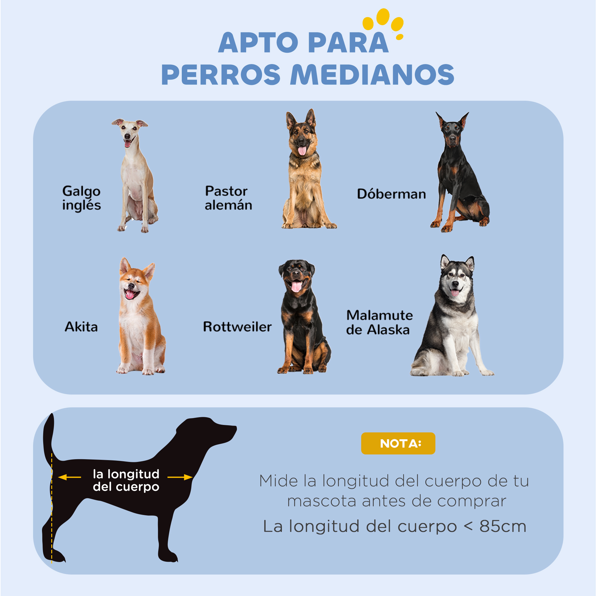 Seis perros: Galgo, Pastor Alemán, Dóberman, Akita, Rottweiler, Malamute.