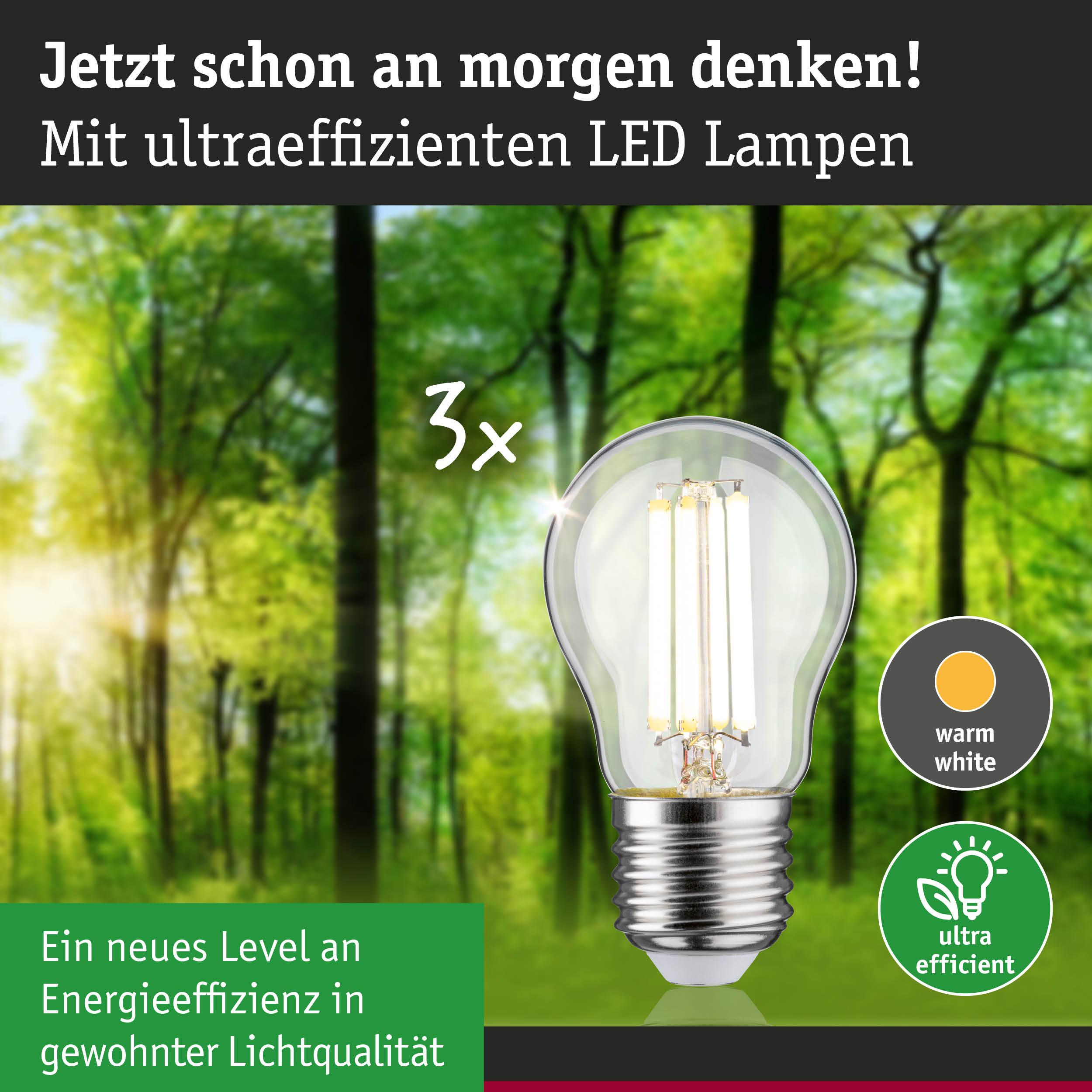 Eine ultraeffiziente LED-Lampe mit warmweißem Licht im Wald.