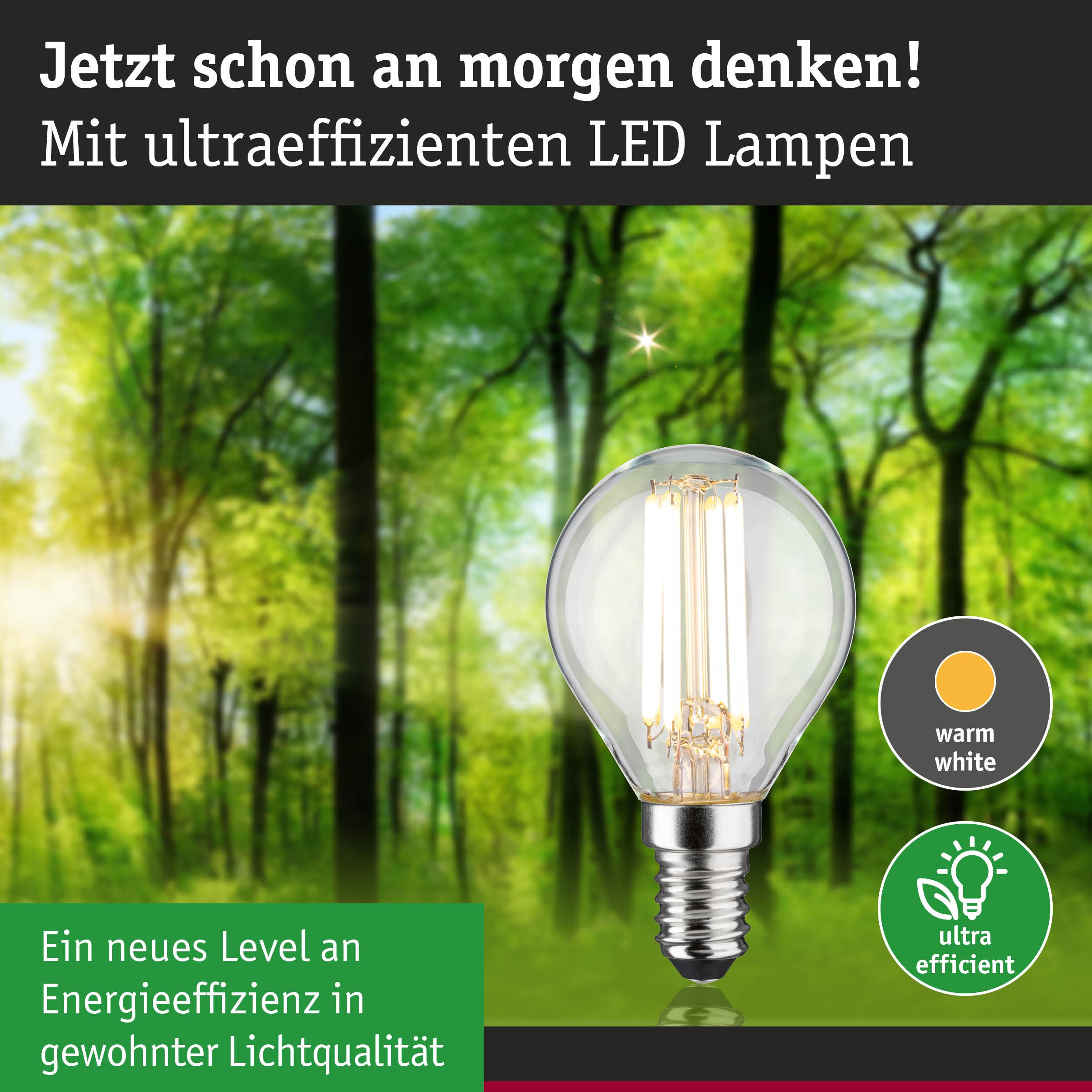 Eine LED-Lampe mit warmweißem Licht steht vor einem Wald. Energieeffizienz.