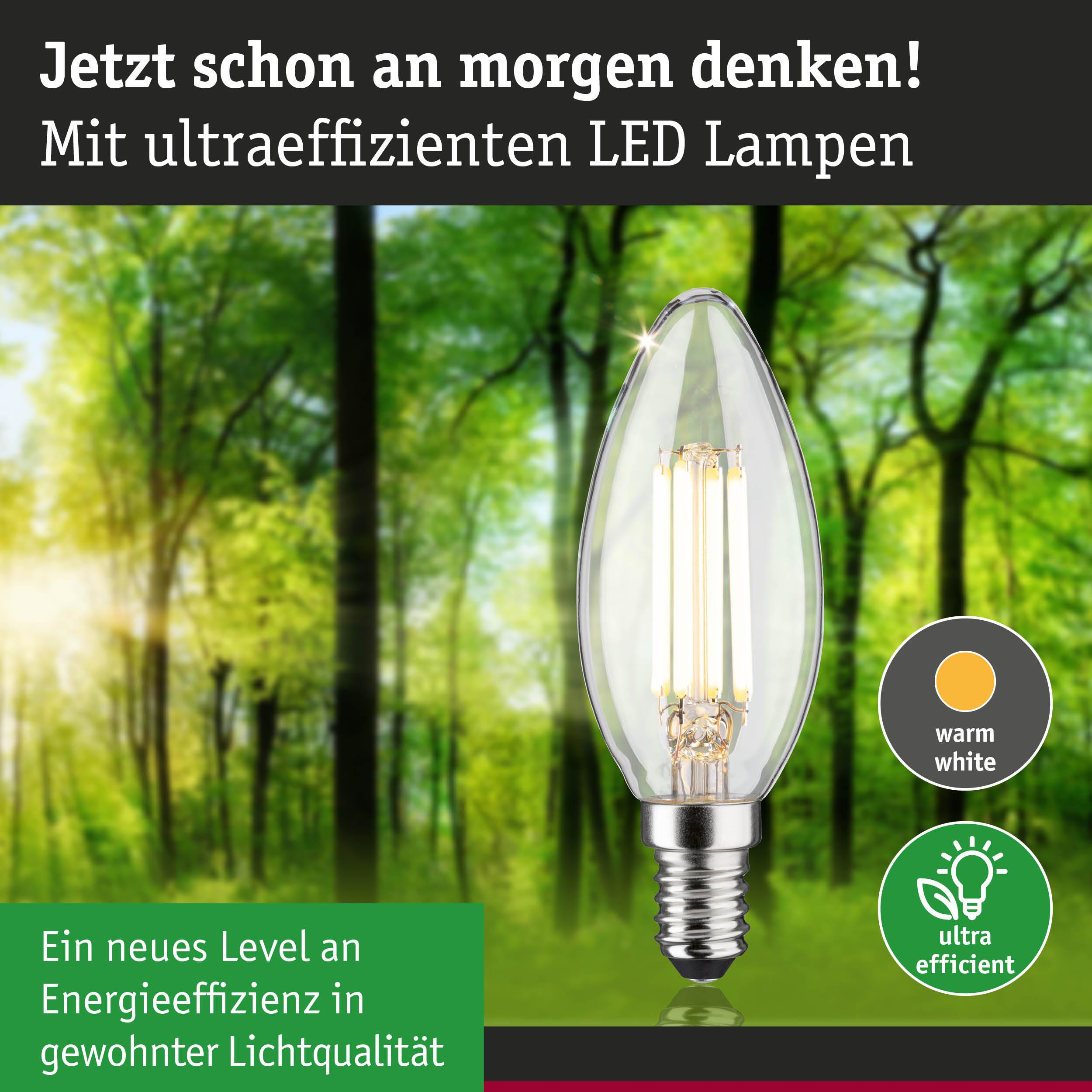 LED Lampe mit warmweißem Licht vor einem Waldhintergrund. Energieeffizient.