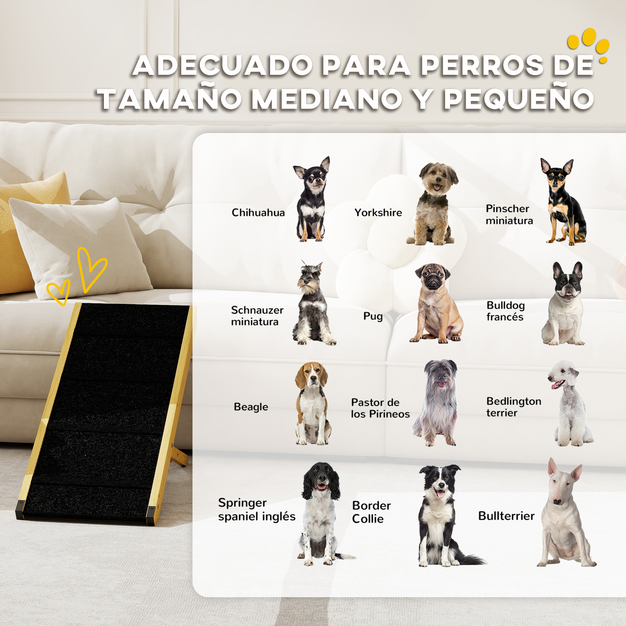 Varios perros en un sofá, con rampa y superposición de texto.