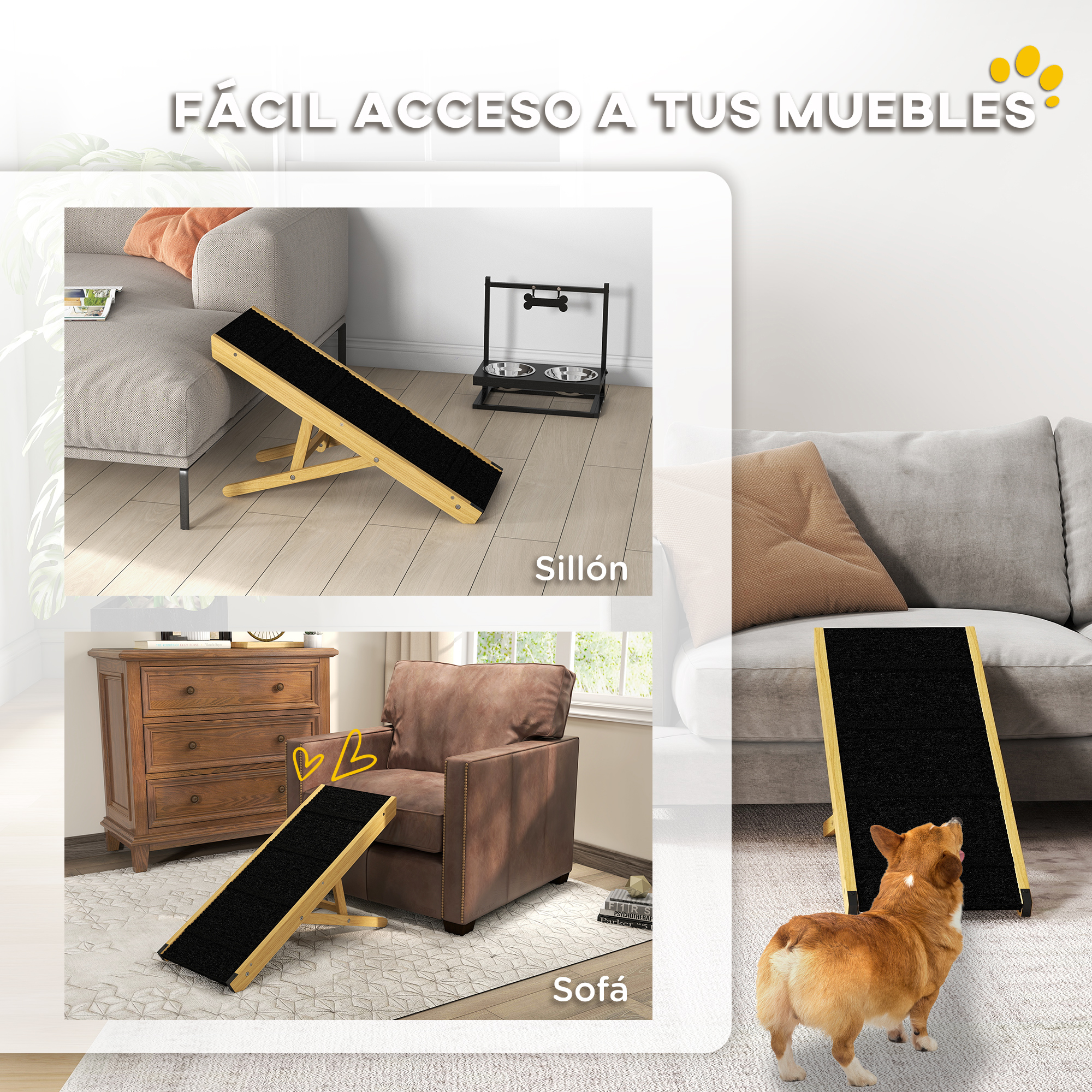 Una rampa para perros frente a un sofá, con un perro mirándola.