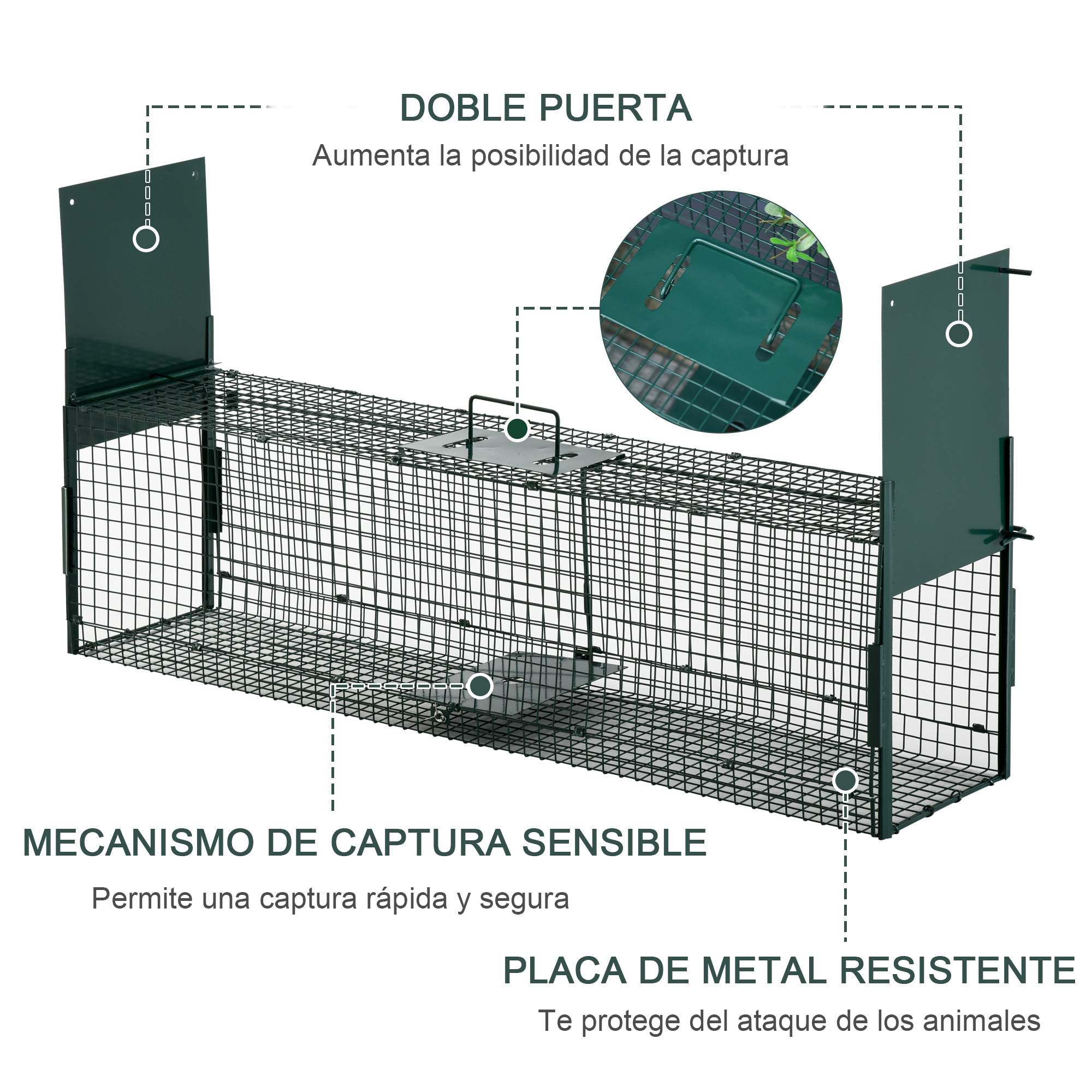 Jaula de alambre verde oscuro con doble puerta y mecanismo sensible.