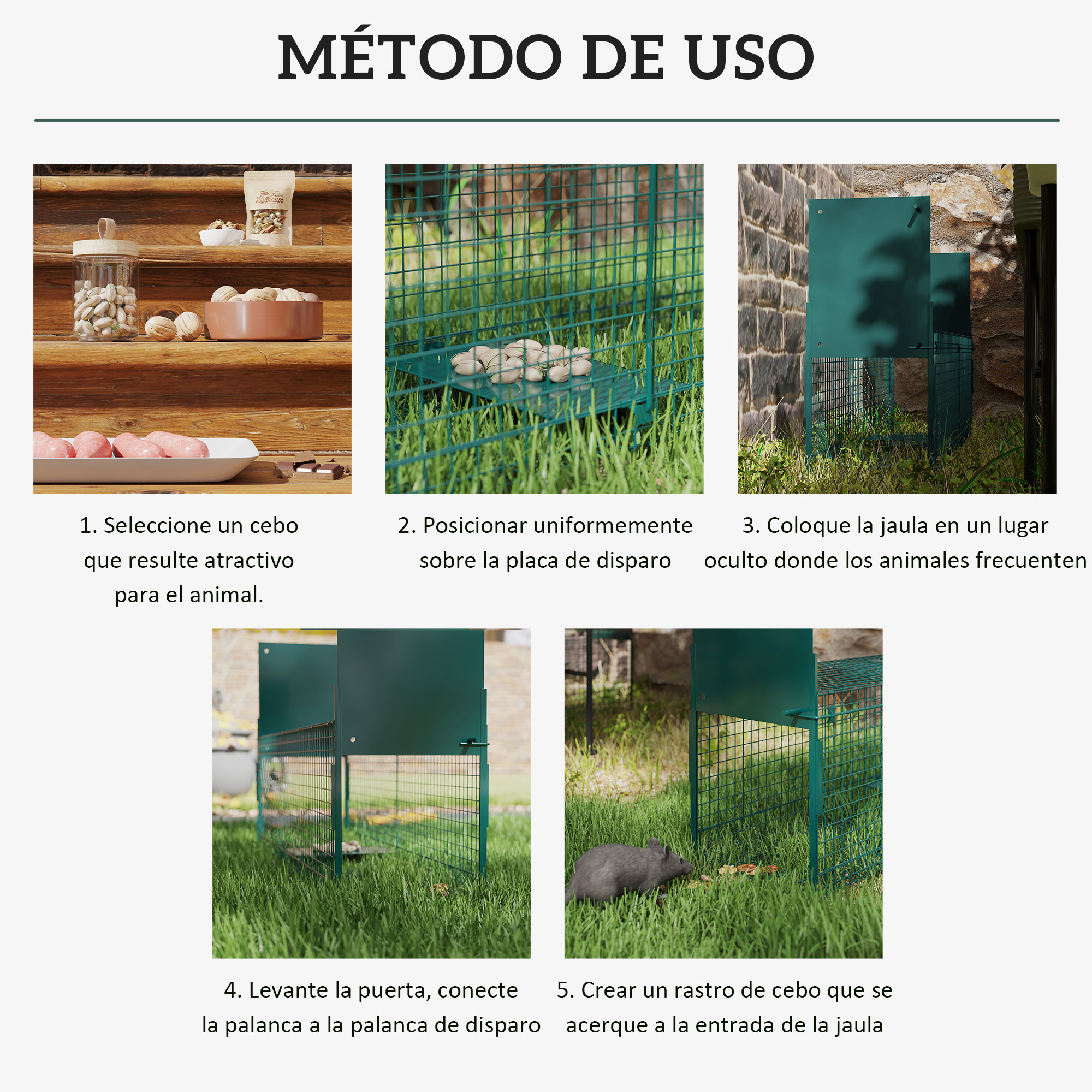 Guía paso a paso de cómo usar una trampa para animales con cebo.