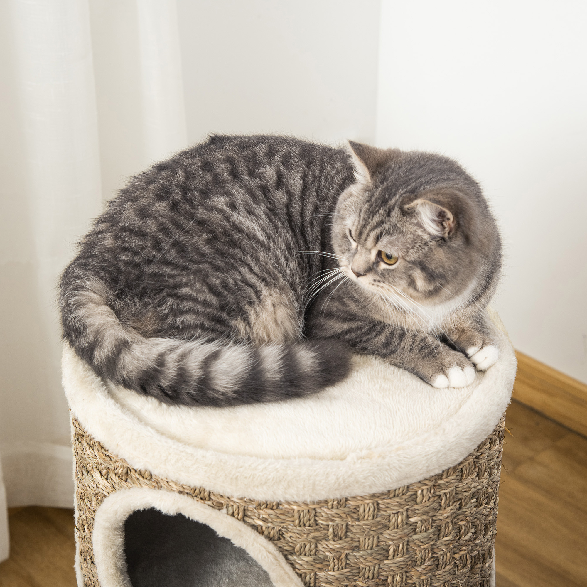 Un gato atigrado descansa en un árbol para gatos con una parte superior redonda y acolchada.