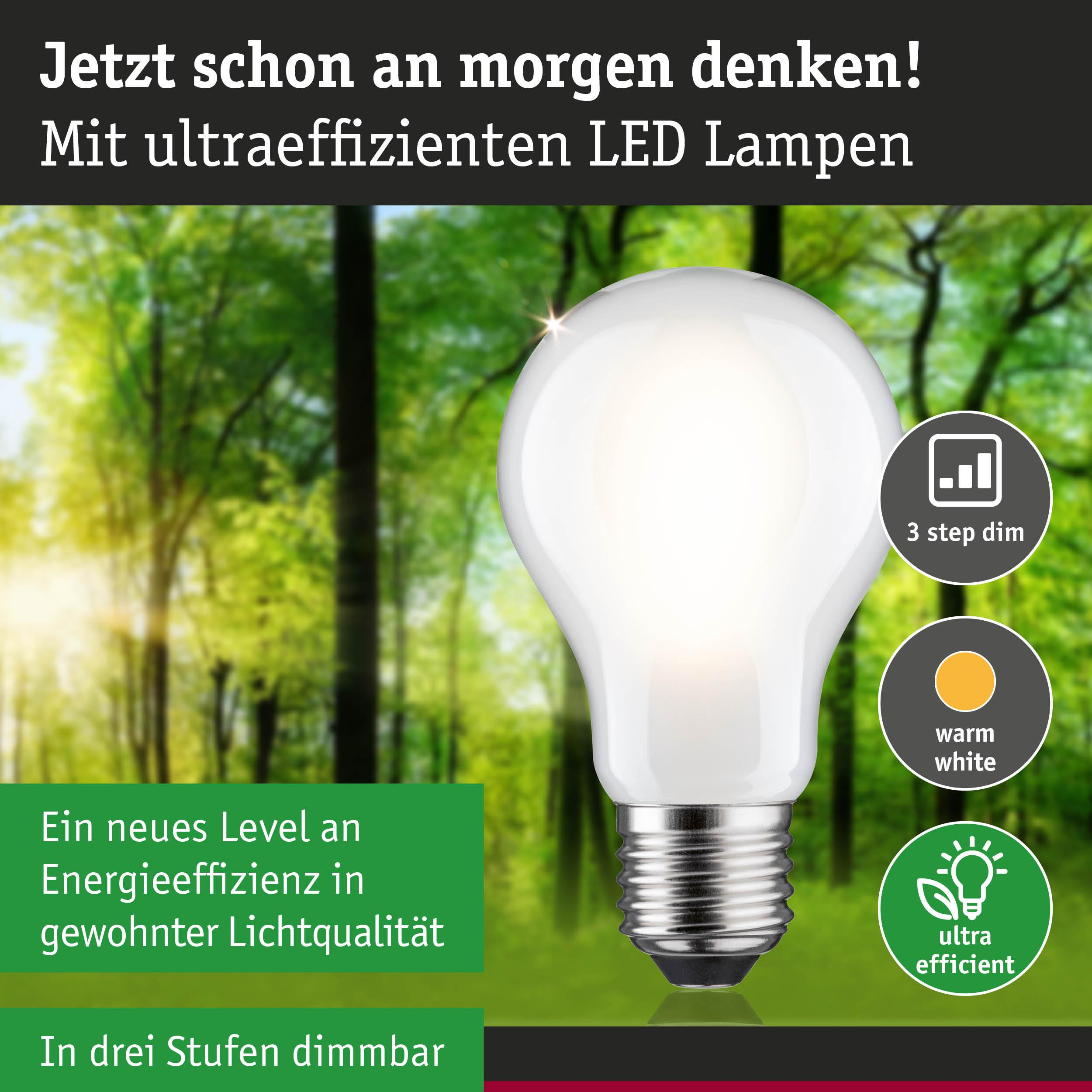 Eine helle LED-Lampe leuchtet vor einem grünen Wald. Sie ist dimmbar und energieeffizient.