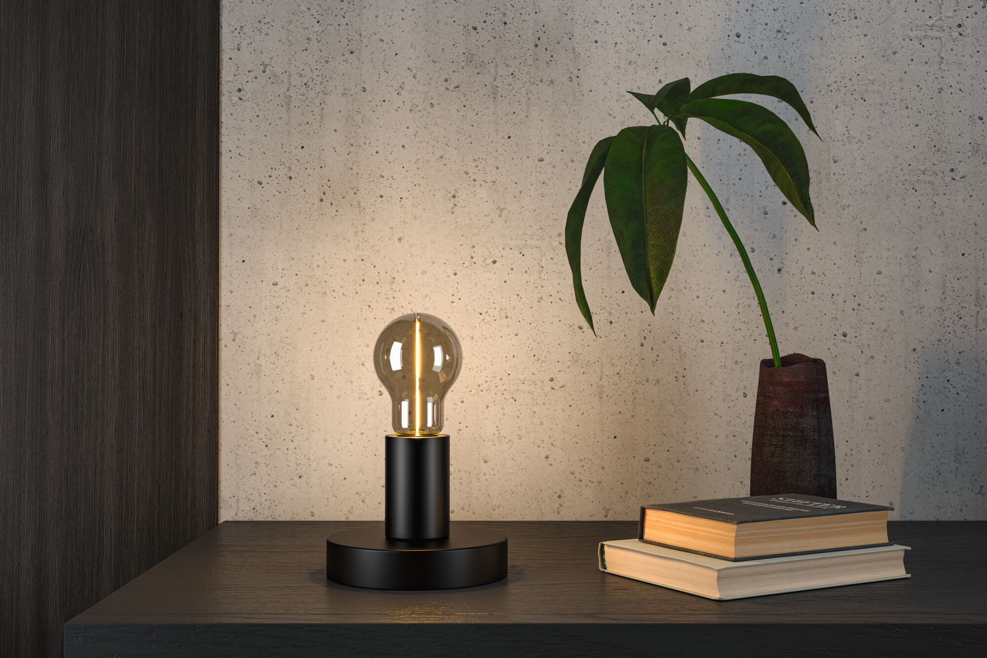 Czarna lampa stołowa z żarówką stoi obok dwóch książek i rośliny.