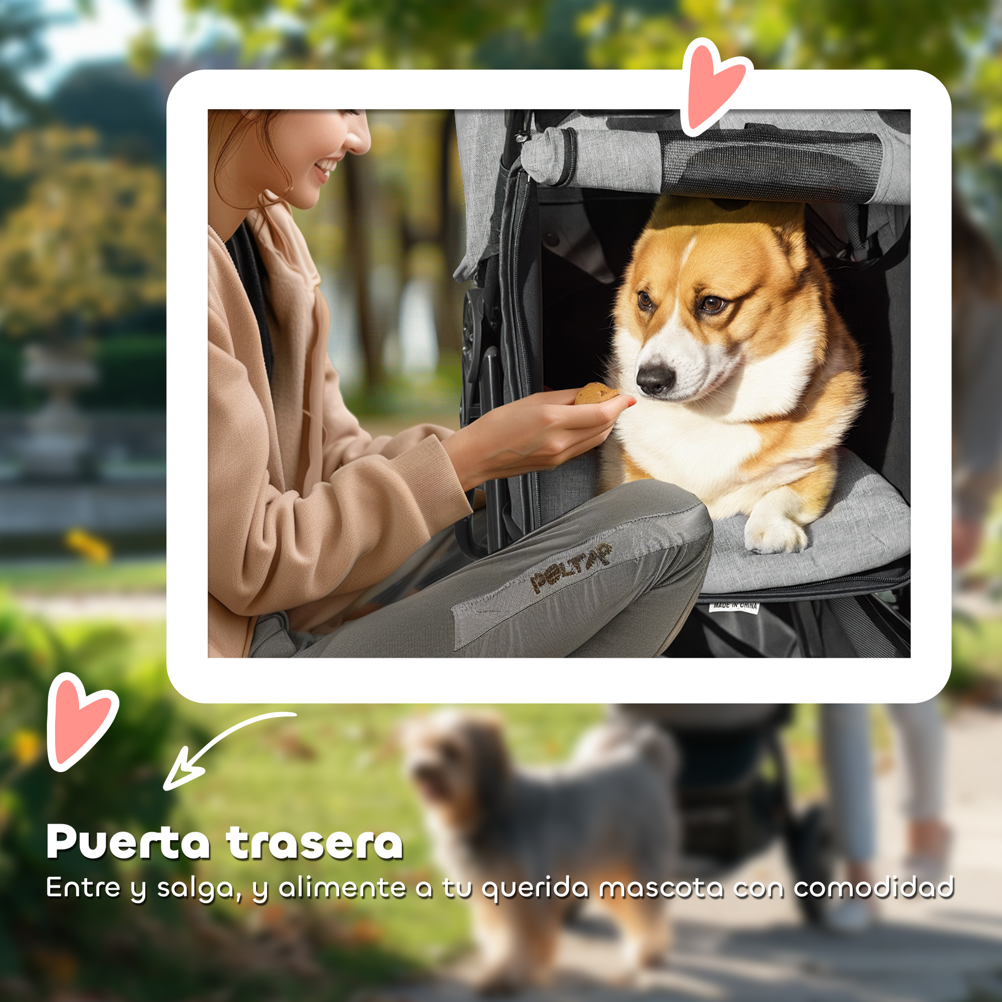 Una mujer alimenta a un corgi en un cochecito al aire libre.