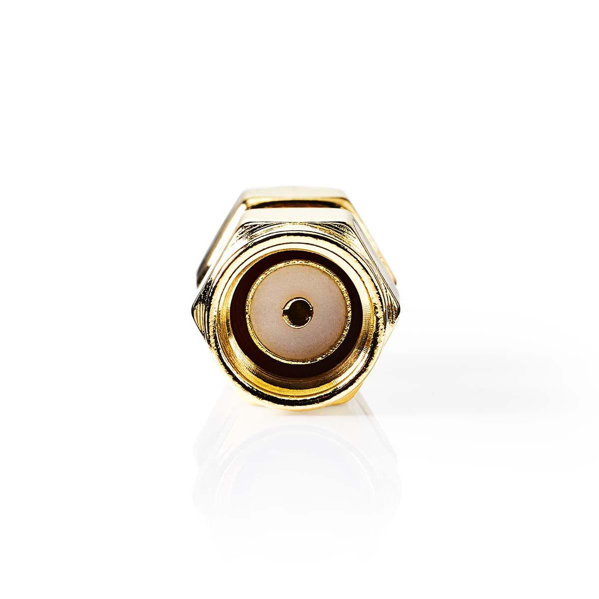 Gouden connector met schroefdraad en centrale pin op witte achtergrond.
