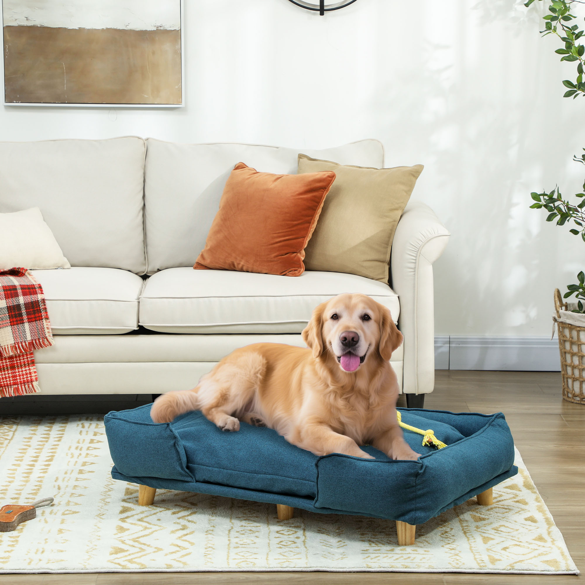 Un Golden Retriever yace en una cama azul para perros frente a un sofá.