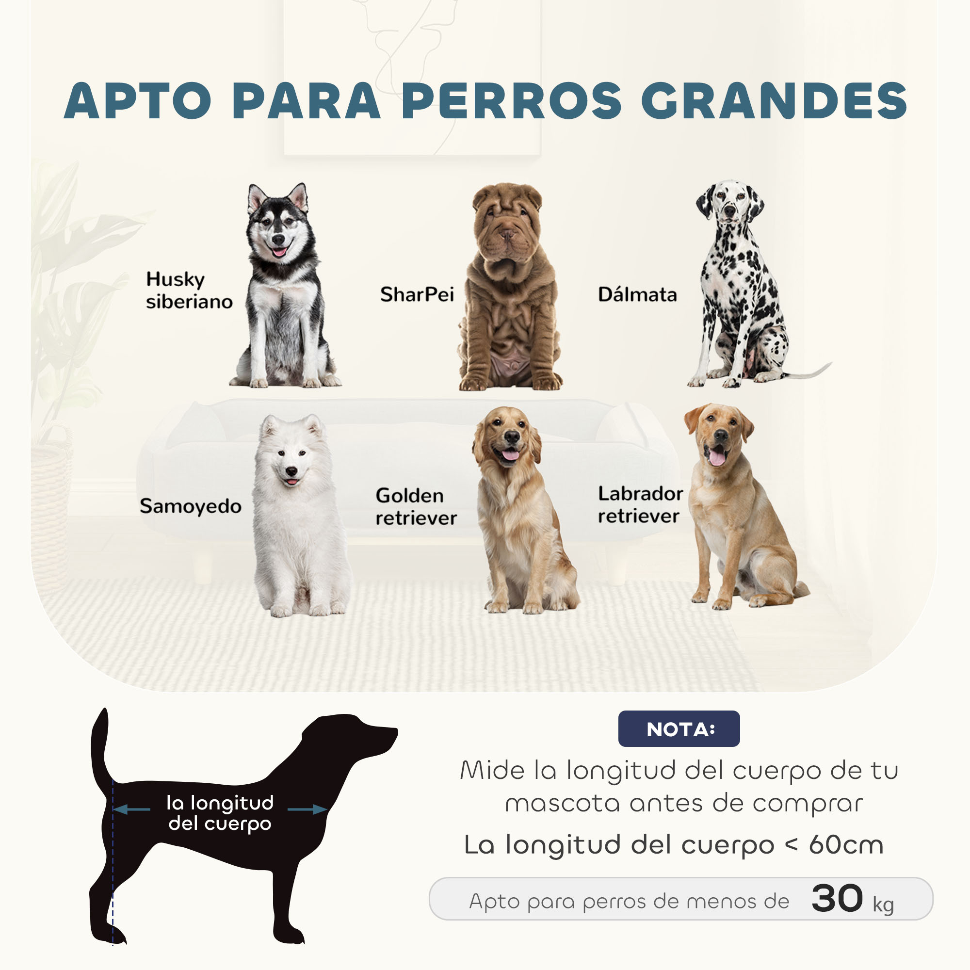 Seis perros sobre una alfombra: Husky, Shar-Pei, Dálmata, Samoyedo, Golden Retriever.