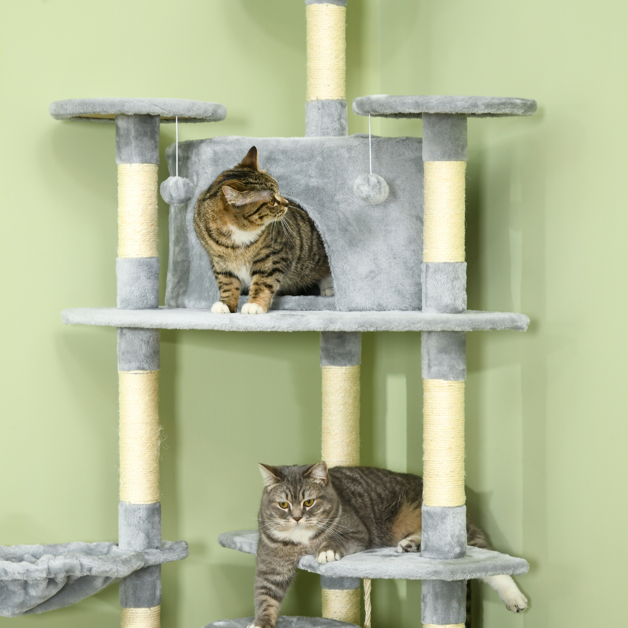 Dos gatos atigrados en un rascador frente a una pared verde claro.