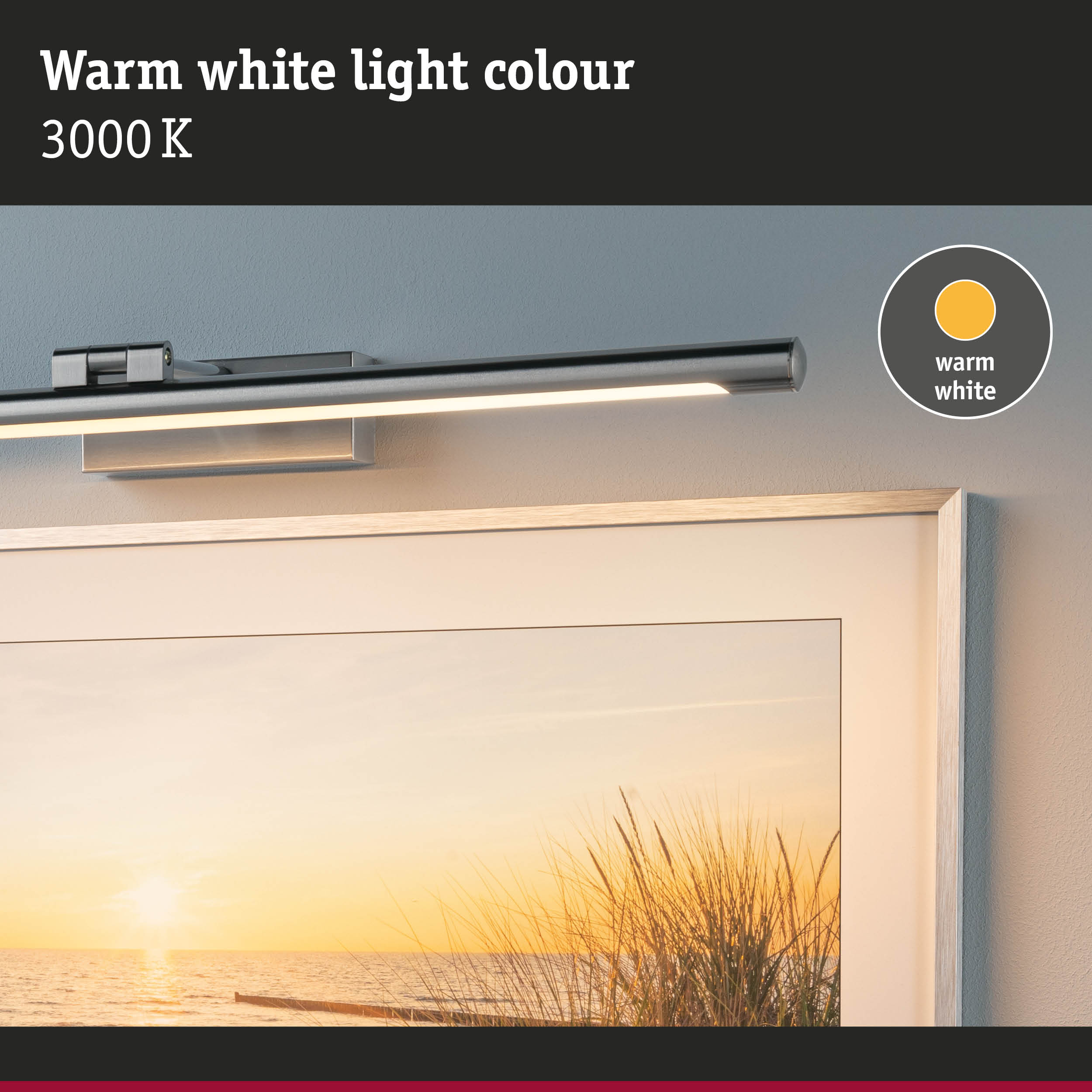 Lampa oświetla obraz zachodu słońca nad morzem z trawami na pierwszym planie.