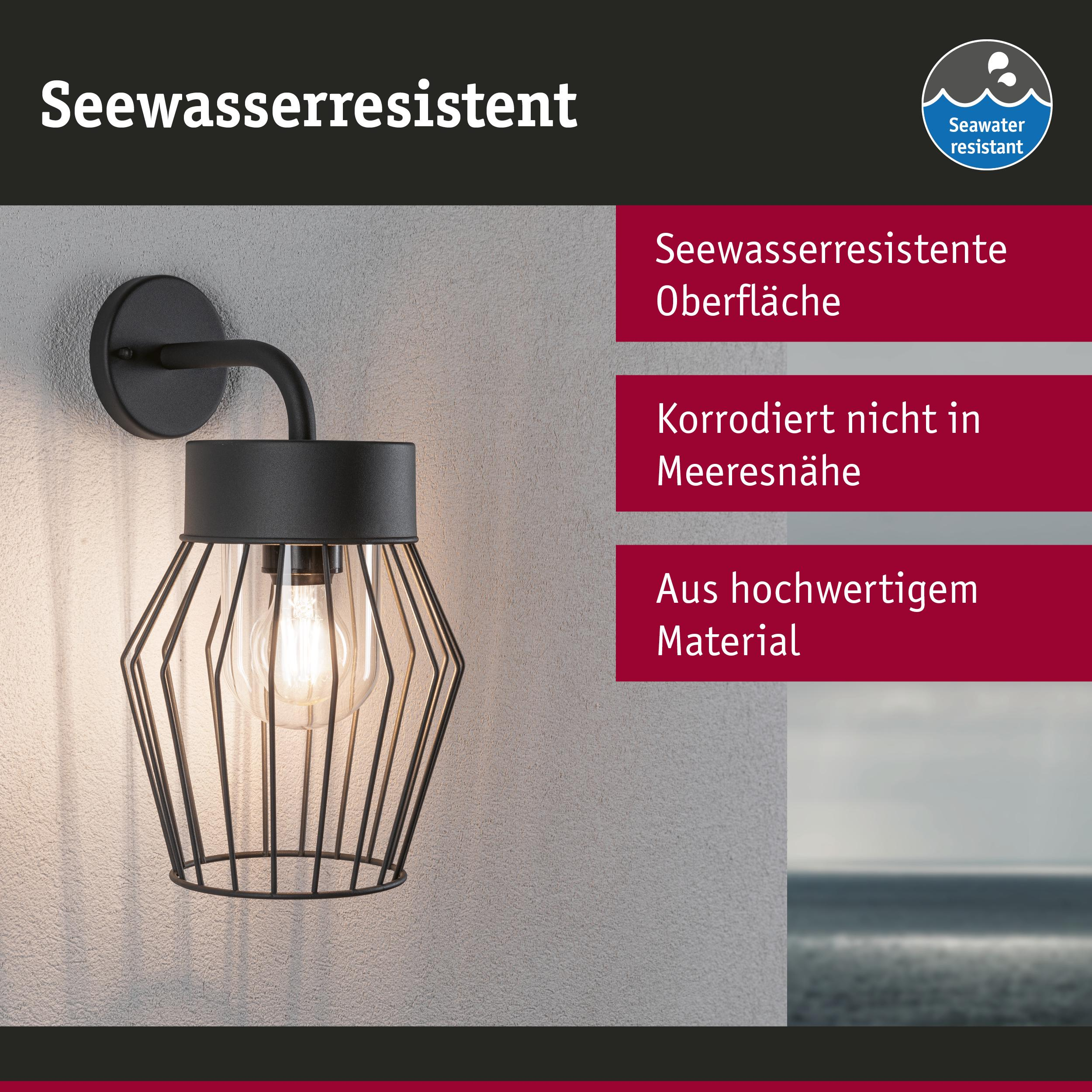 Eine schwarze Wandlampe mit Drahtkäfig-Schirm und sichtbarer Glühbirne.