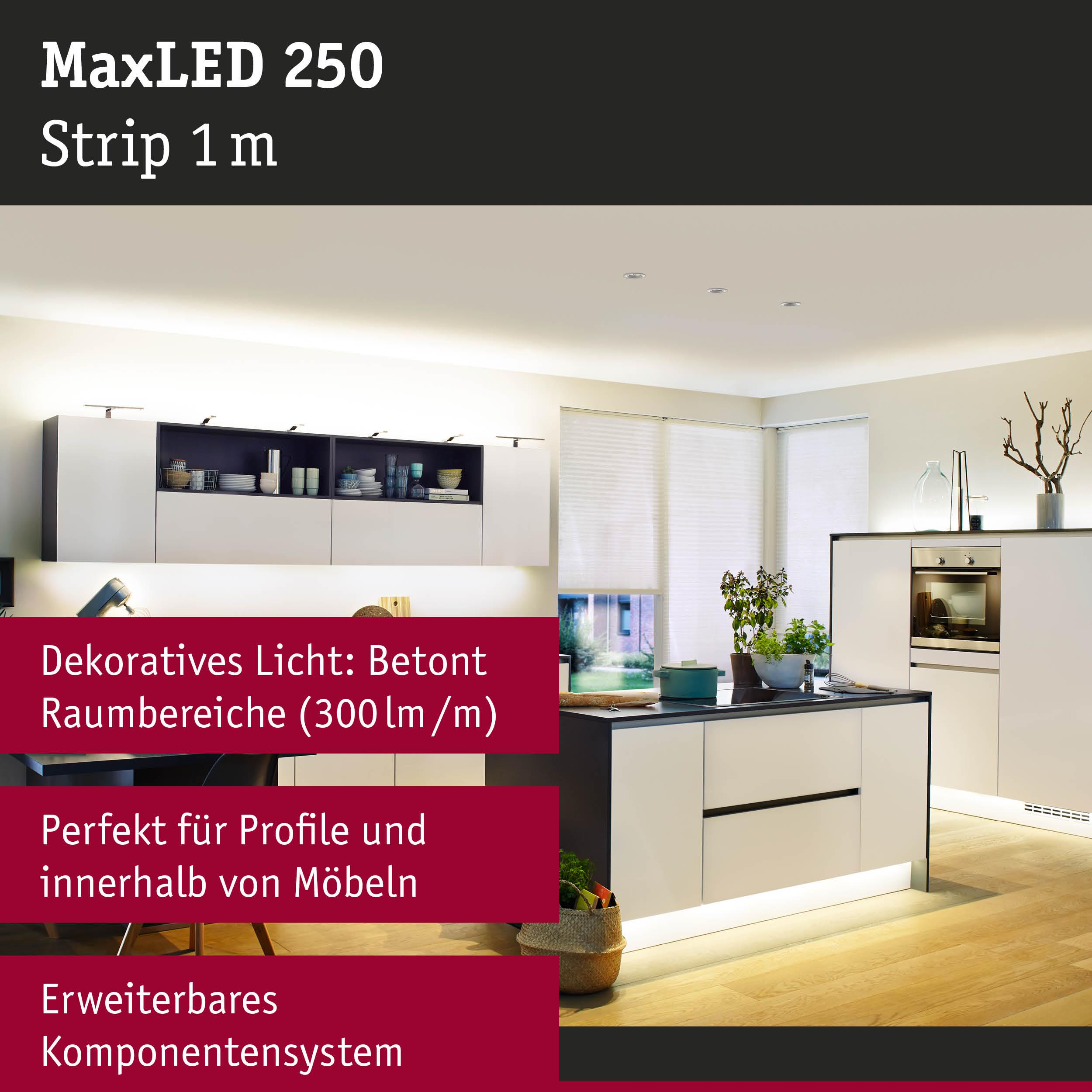Cucina moderna con striscia MaxLED 250, illuminazione d'accento.