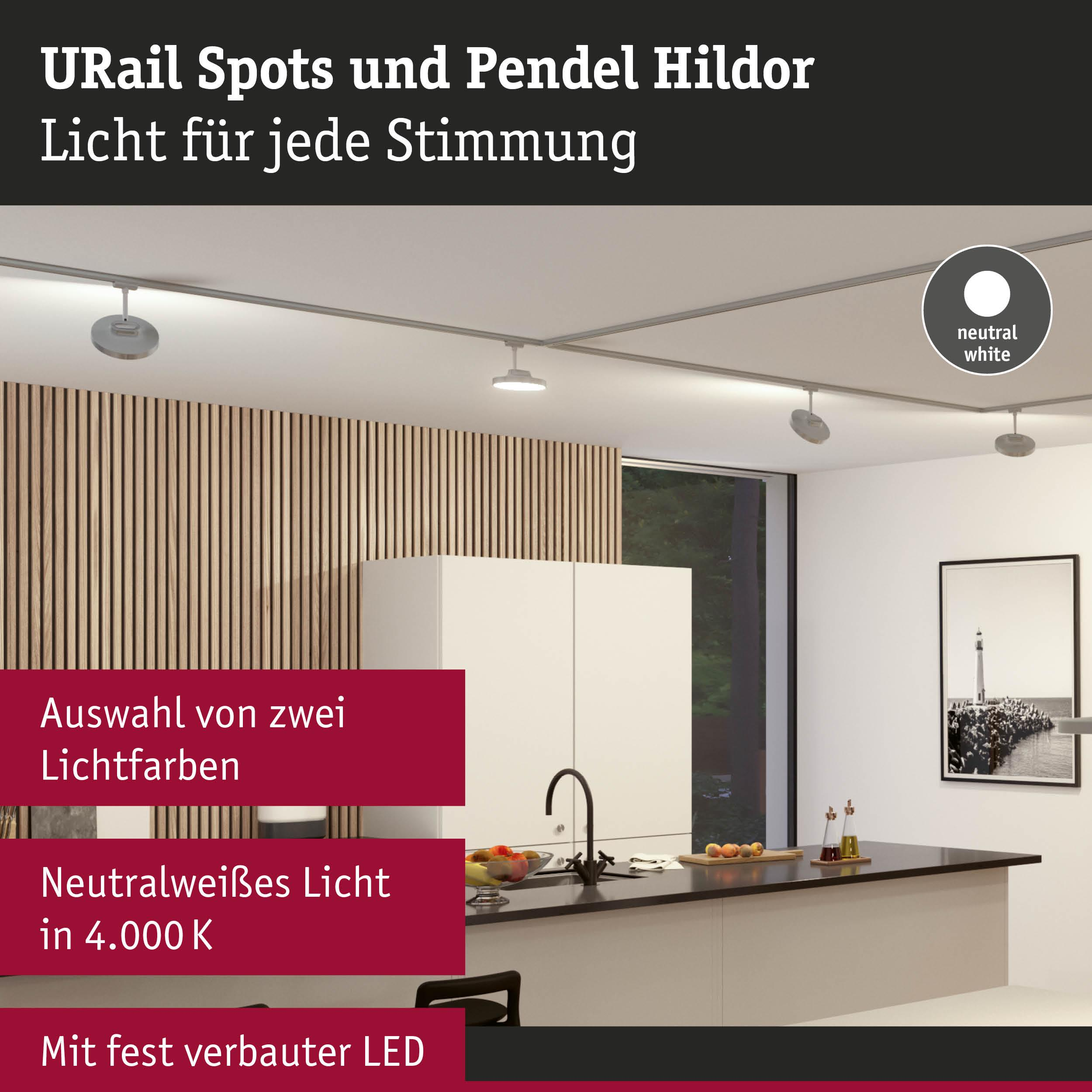 Moderne Küche mit URail Spots, Holzwand und Kücheninsel.