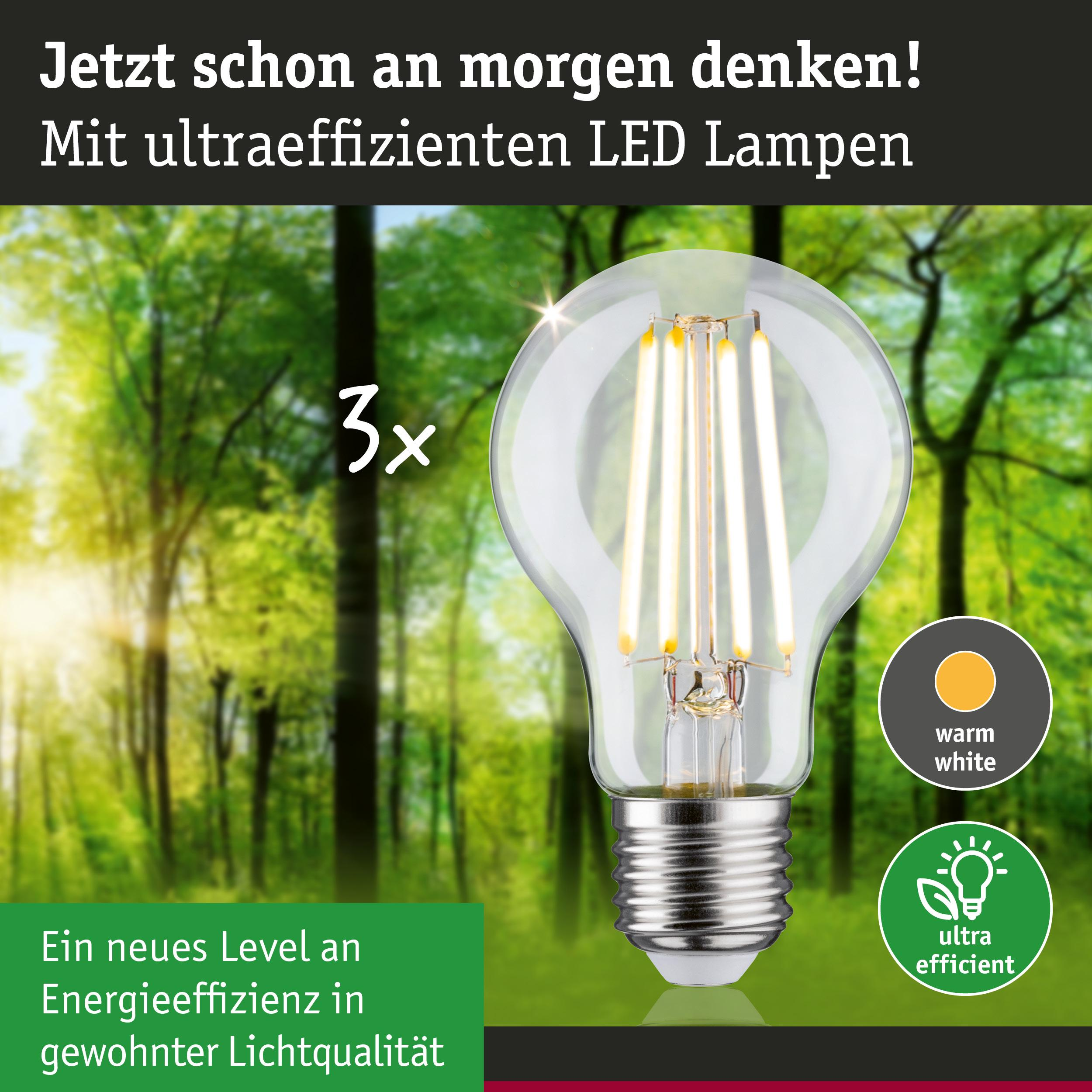 LED-Lampe mit warmweißem Licht vor einem Wald und Text über Effizienz.