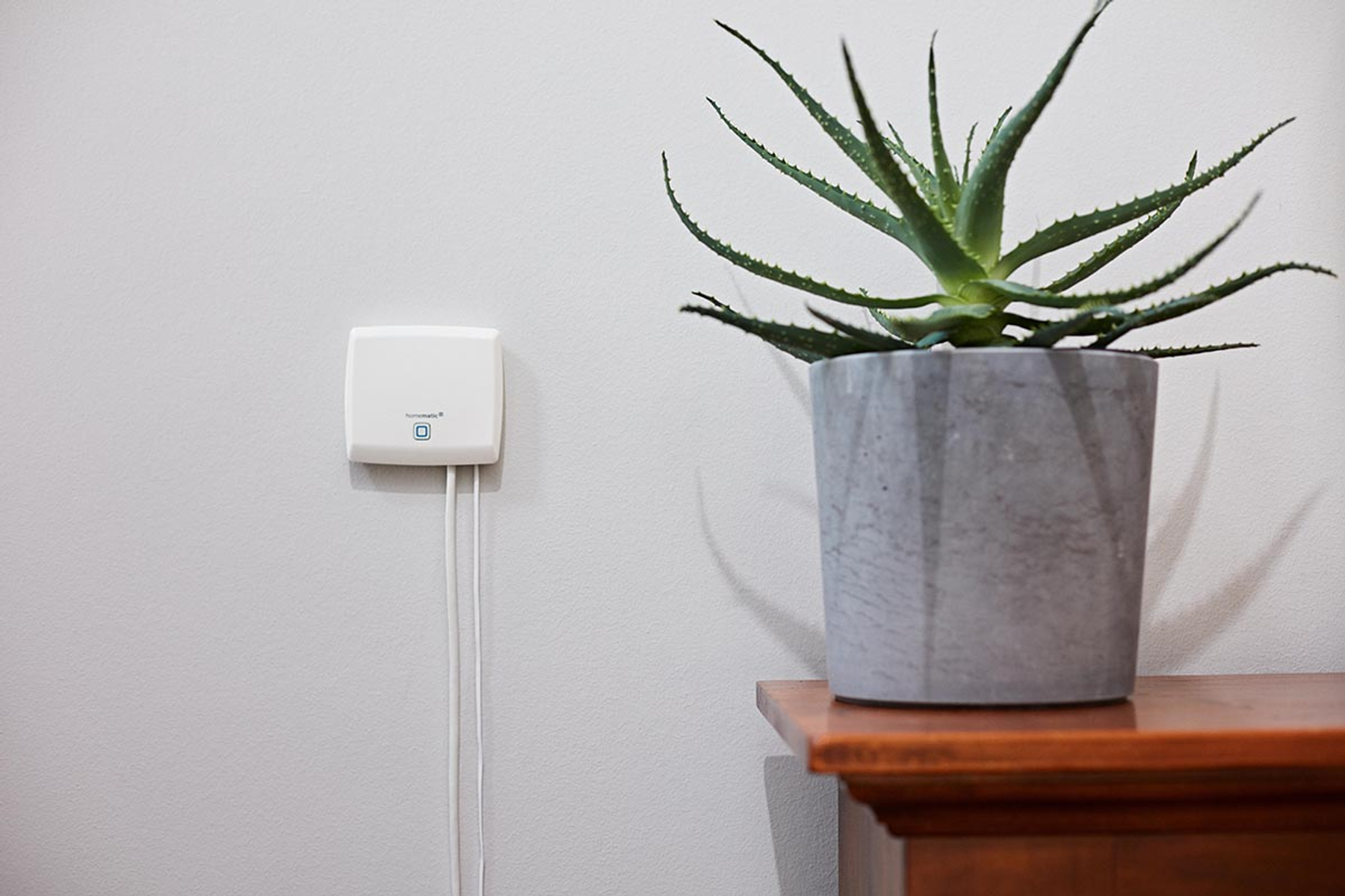 Ein weißes Gerät an einer Wand neben einem Topf mit einer Aloe Vera Pflanze.