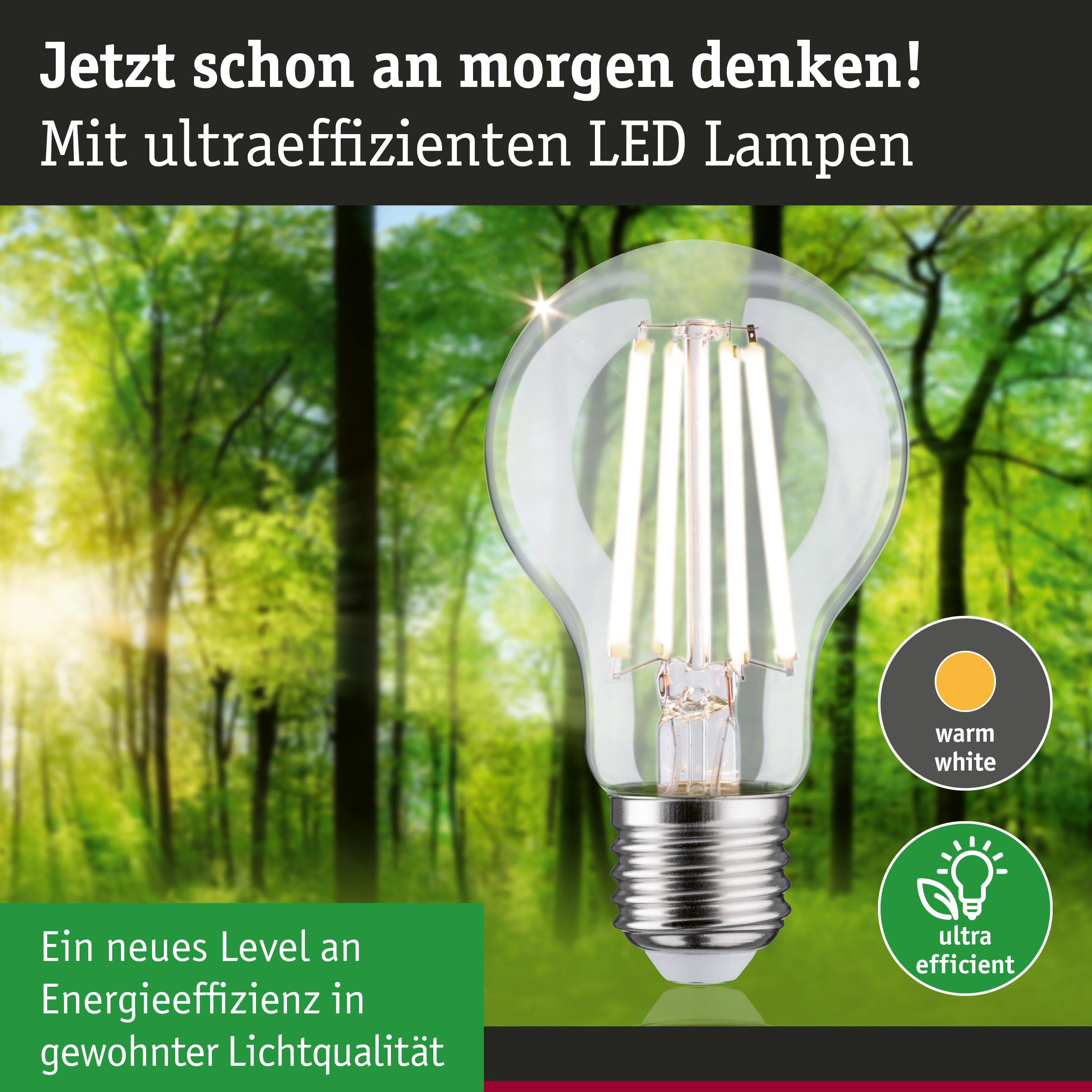 Eine LED-Lampe leuchtet im Wald. "Denken Sie an morgen!" steht da.