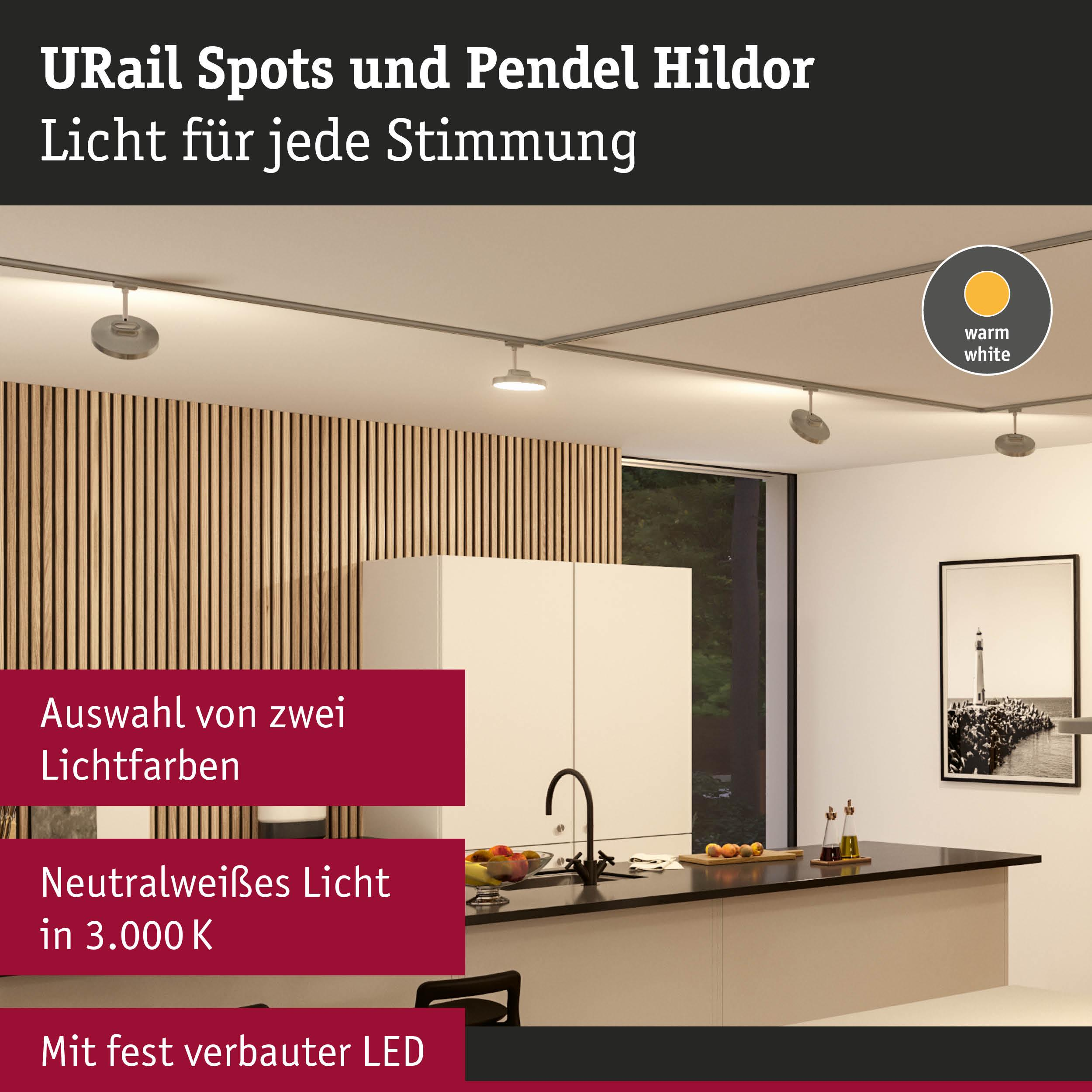 Moderne Küche mit URail Spots & Pendelleuchten, Holzwand, Tresen mit Obstschale.