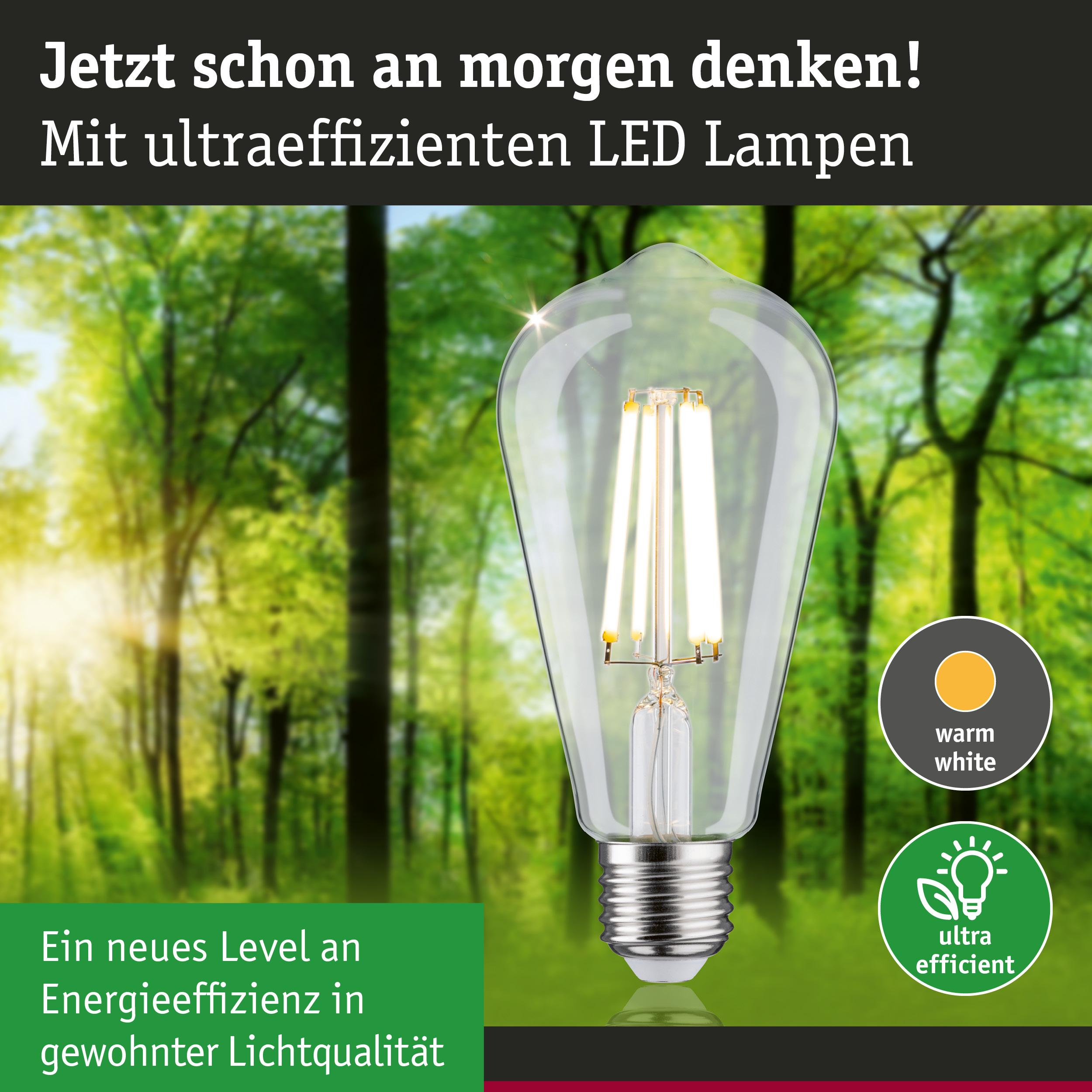 Ultraeffiziente LED-Lampe vor einem Wald mit Sonnenlicht.