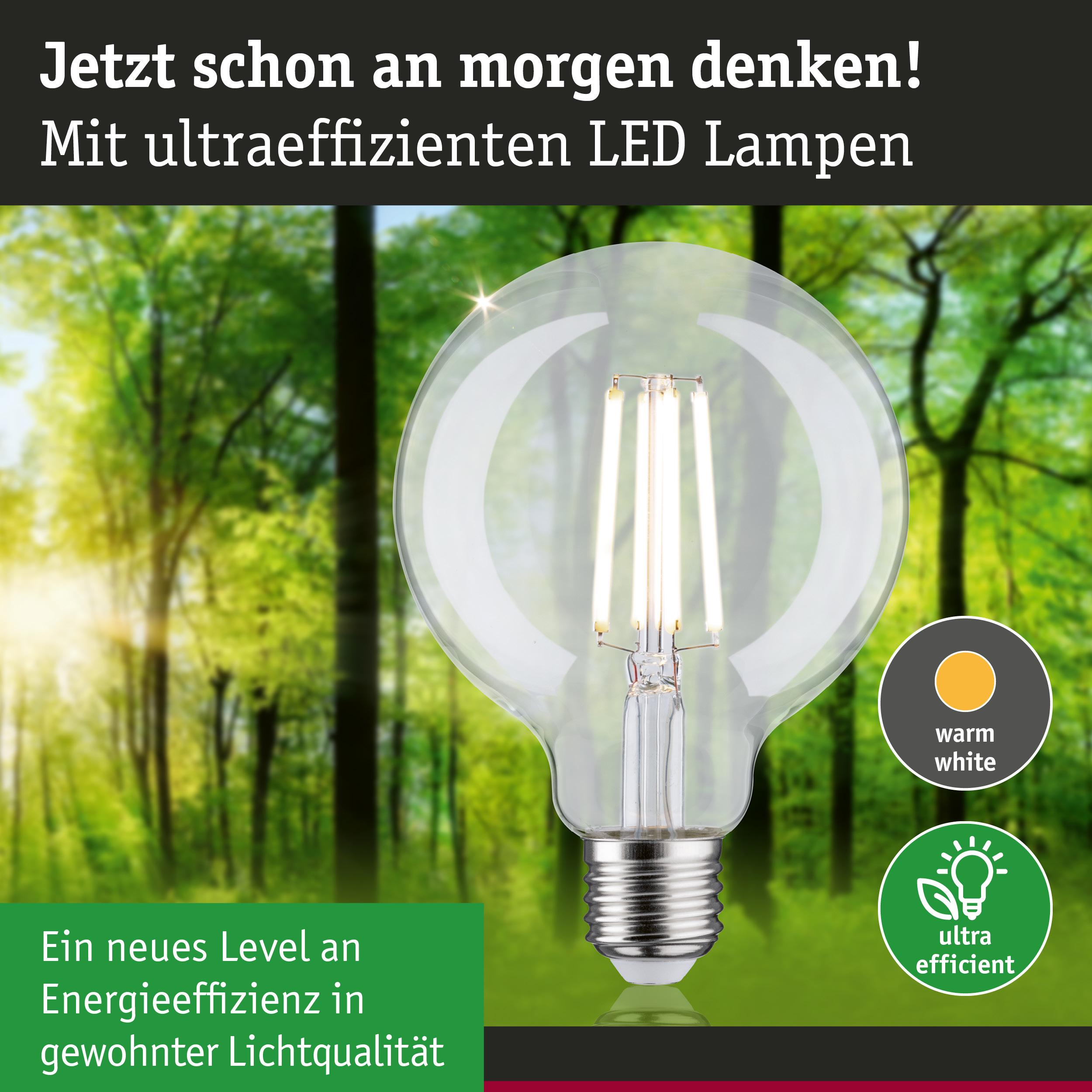 Eine klare LED-Glühbirne mit warmweißem Licht steht vor einem verschwommenen grünen Wald.
