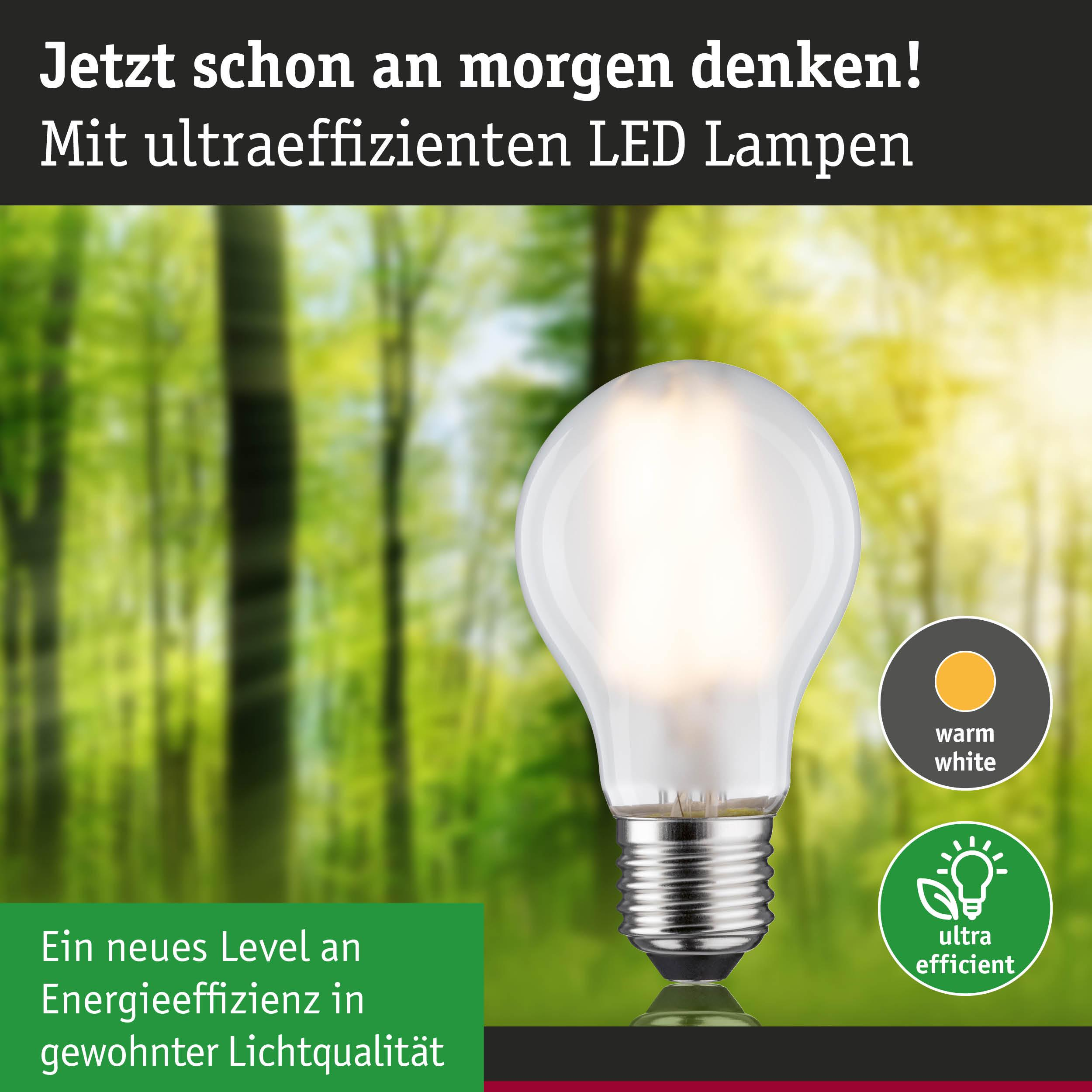 Eine Glühbirne leuchtet vor einem Wald. "Denken Sie jetzt an morgen!"