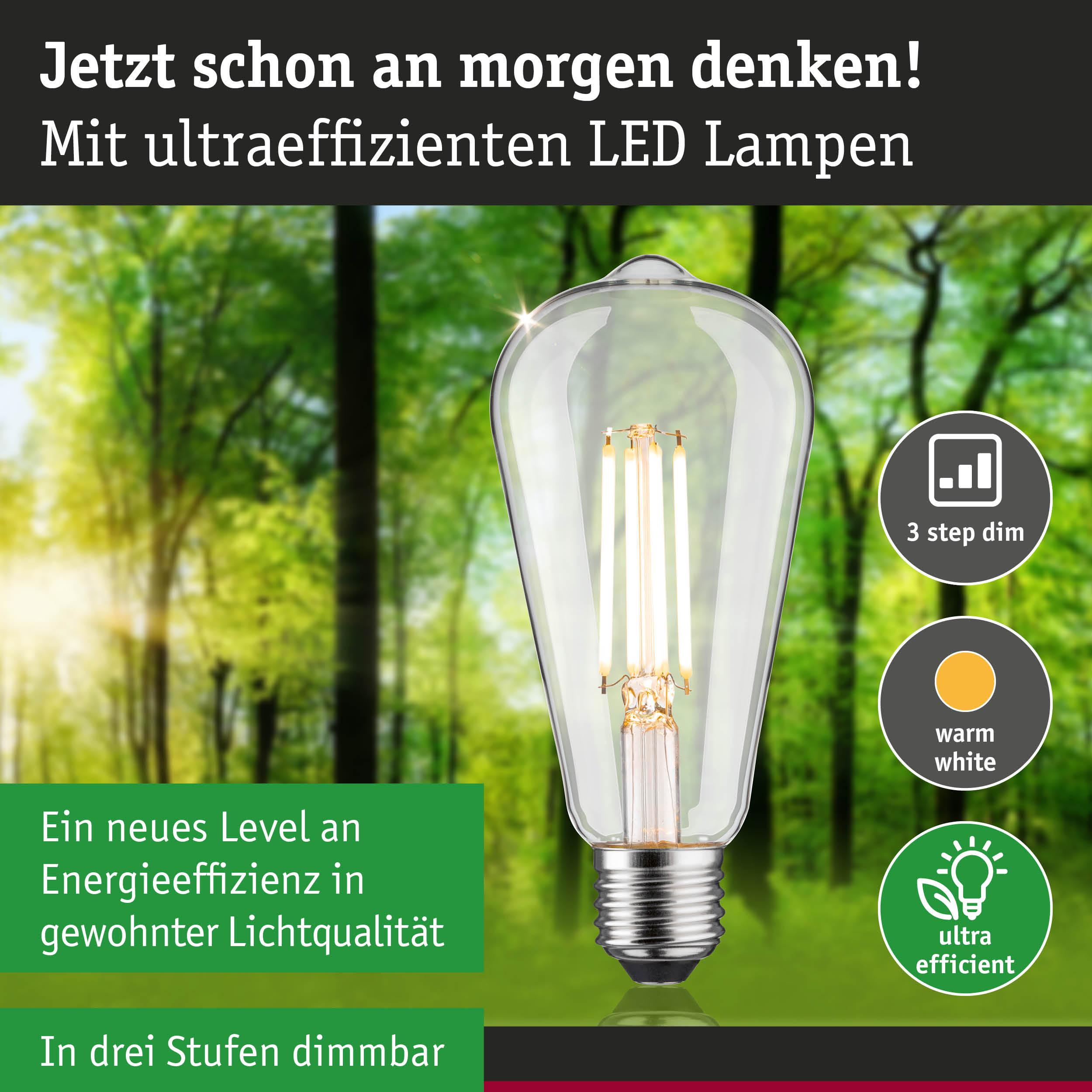 Eine Glühbirne mit LED-Technik steht vor einem Wald, mit Text über Energieeffizienz.