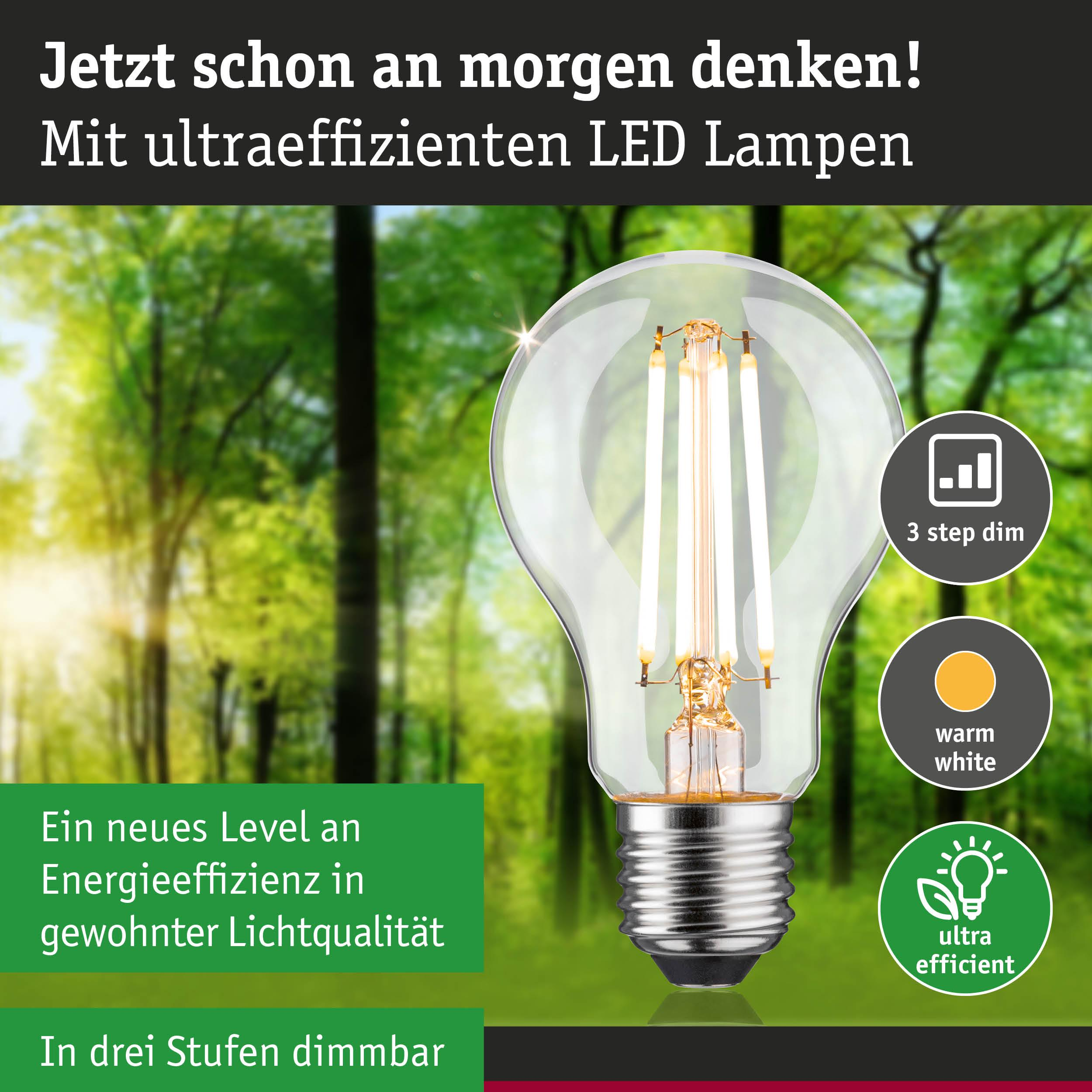 Eine LED-Lampe mit drei Dimmstufen und warmer weißer Lichtfarbe, in einem Wald.