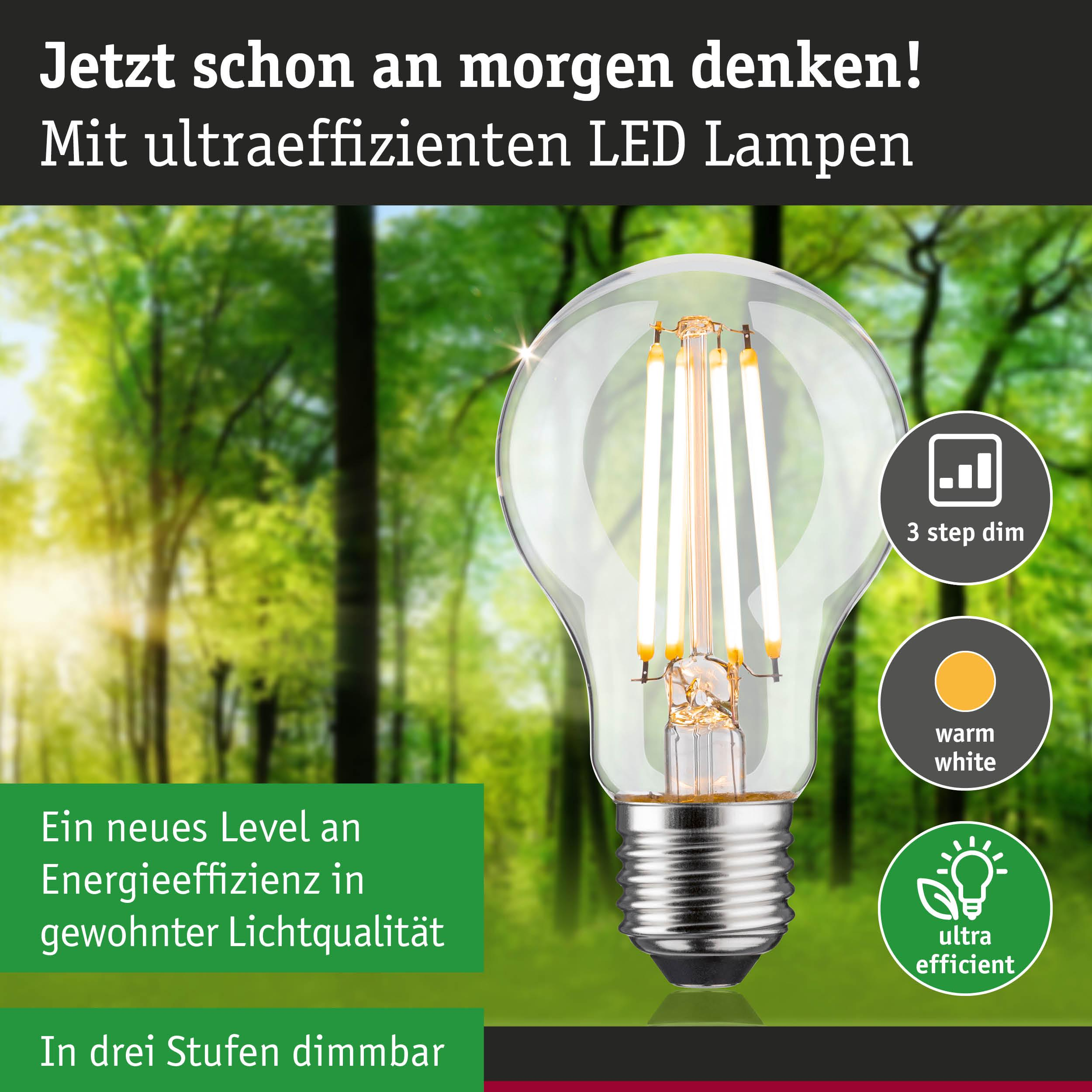 Eine LED-Lampe mit drei Stufen Dimmbarkeit und warmweißer Farbe in einer Waldkulisse.