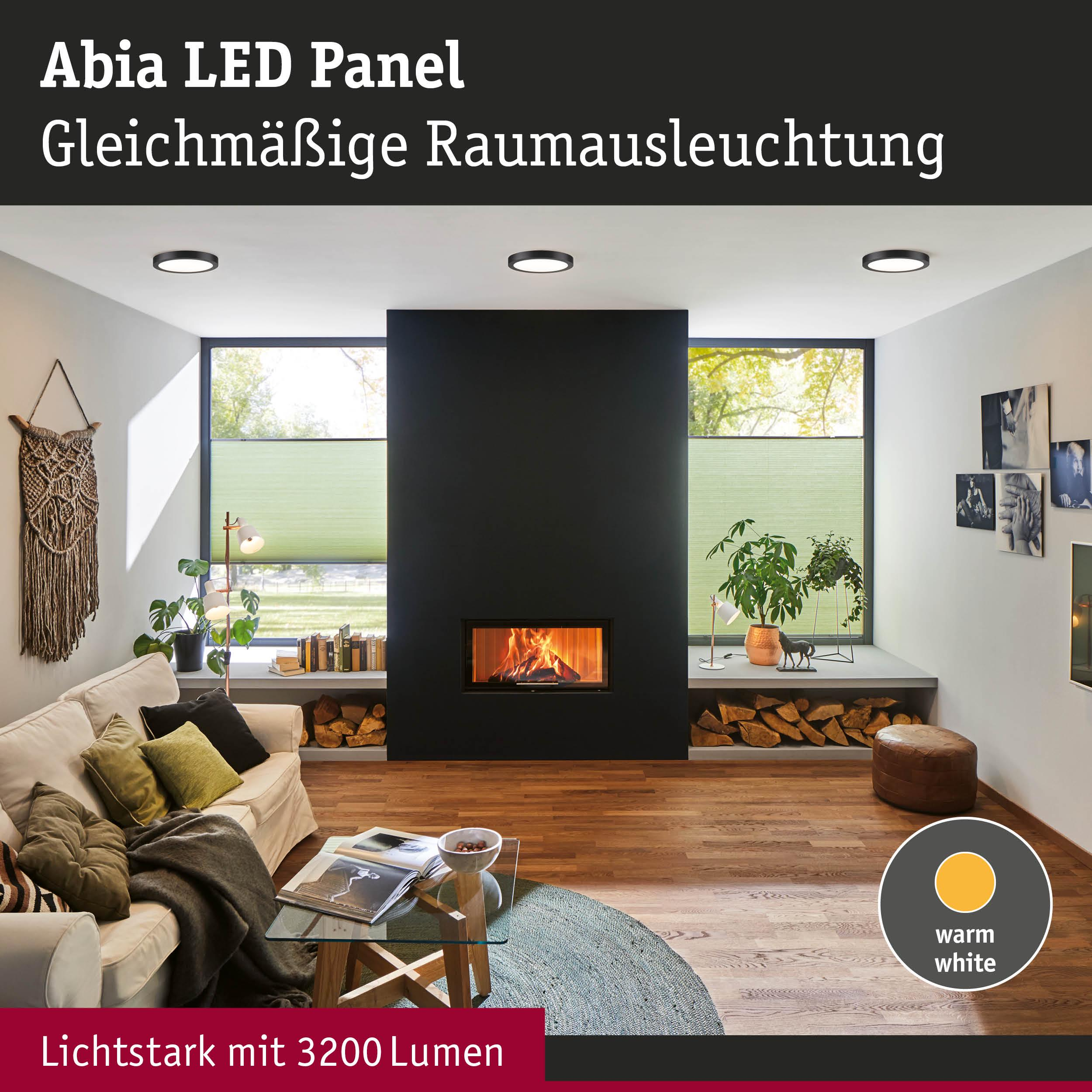 Salon z kominkiem, sofą, roślinami i oknami. Oświetlenie: ciepła biel.