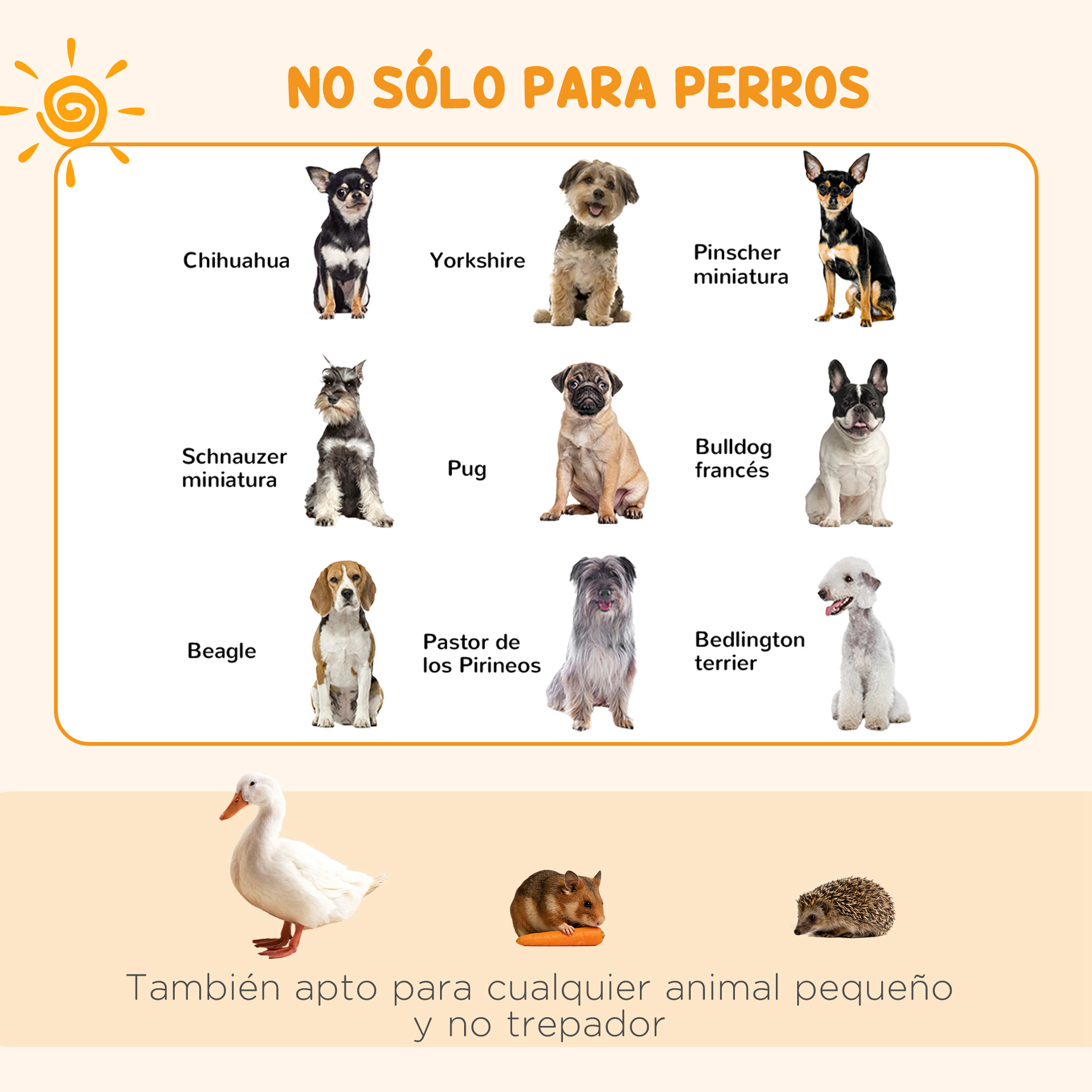 Imagen de perros, un pato, un hámster y un erizo. No solo para perros.
