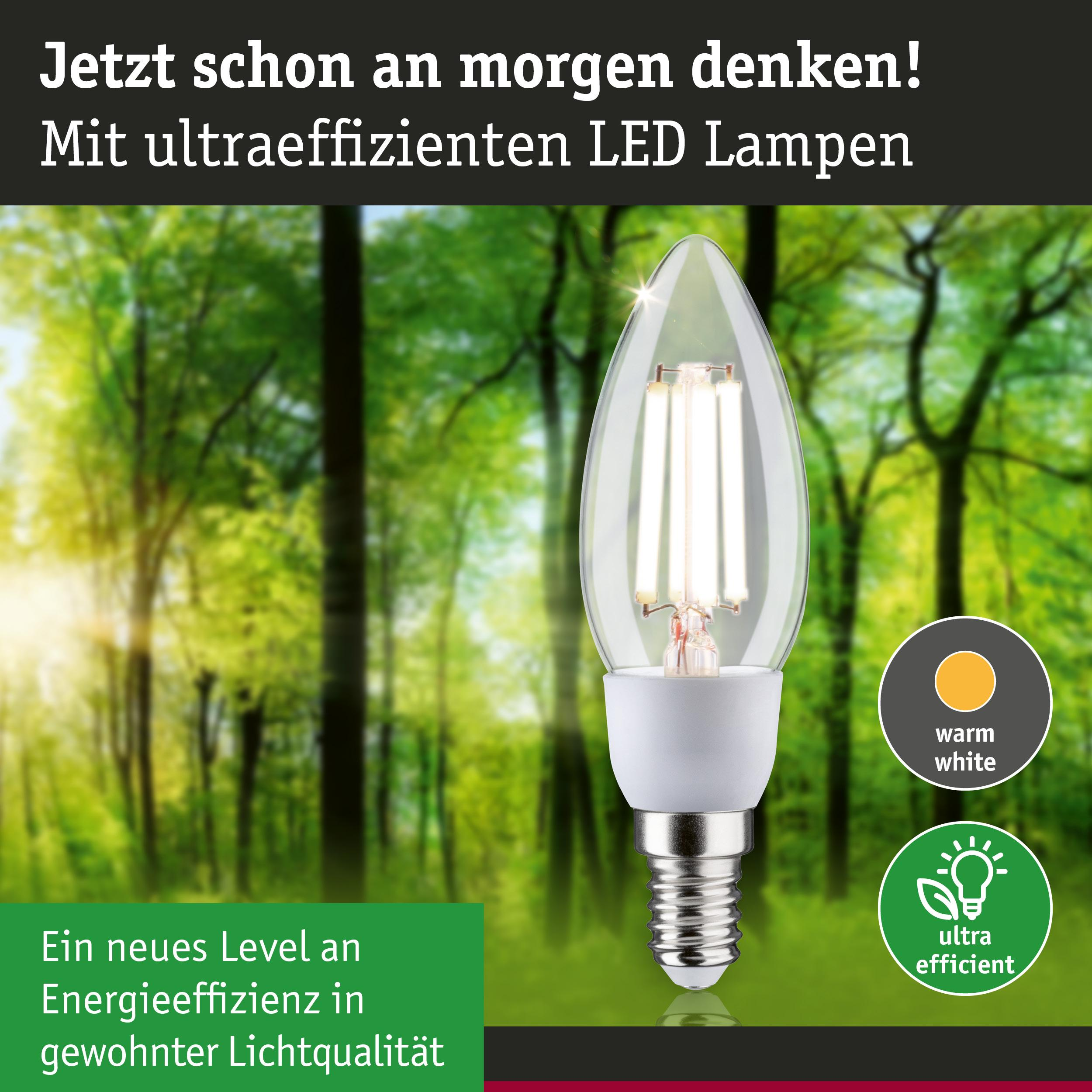 Eine moderne LED-Lampe steht vor einem unscharfen Wald. Text hebt Energieeffizienz hervor.
