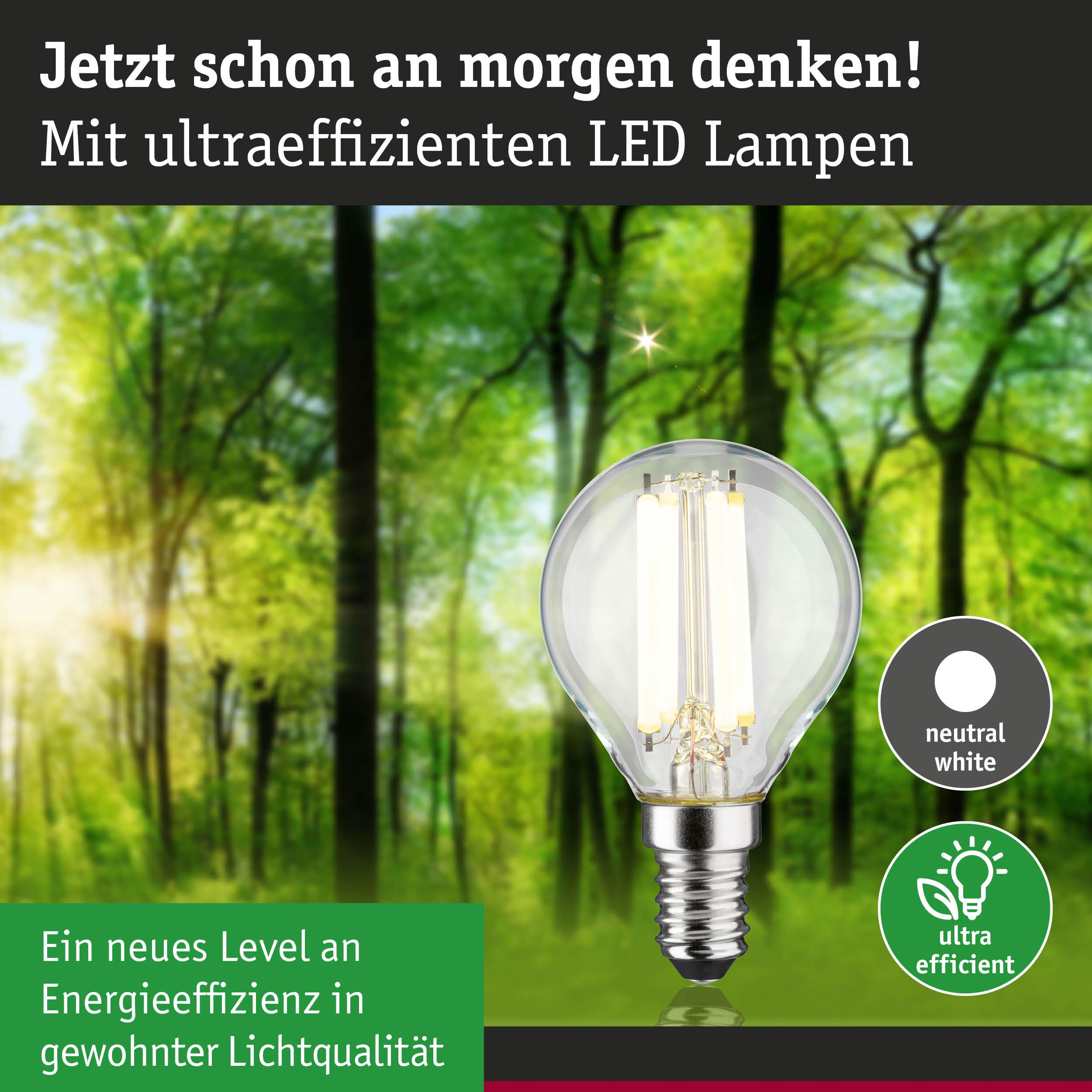 Eine LED-Lampe vor einem Wald mit Sonnenlicht. "Neutral White" & "Ultra Efficient".