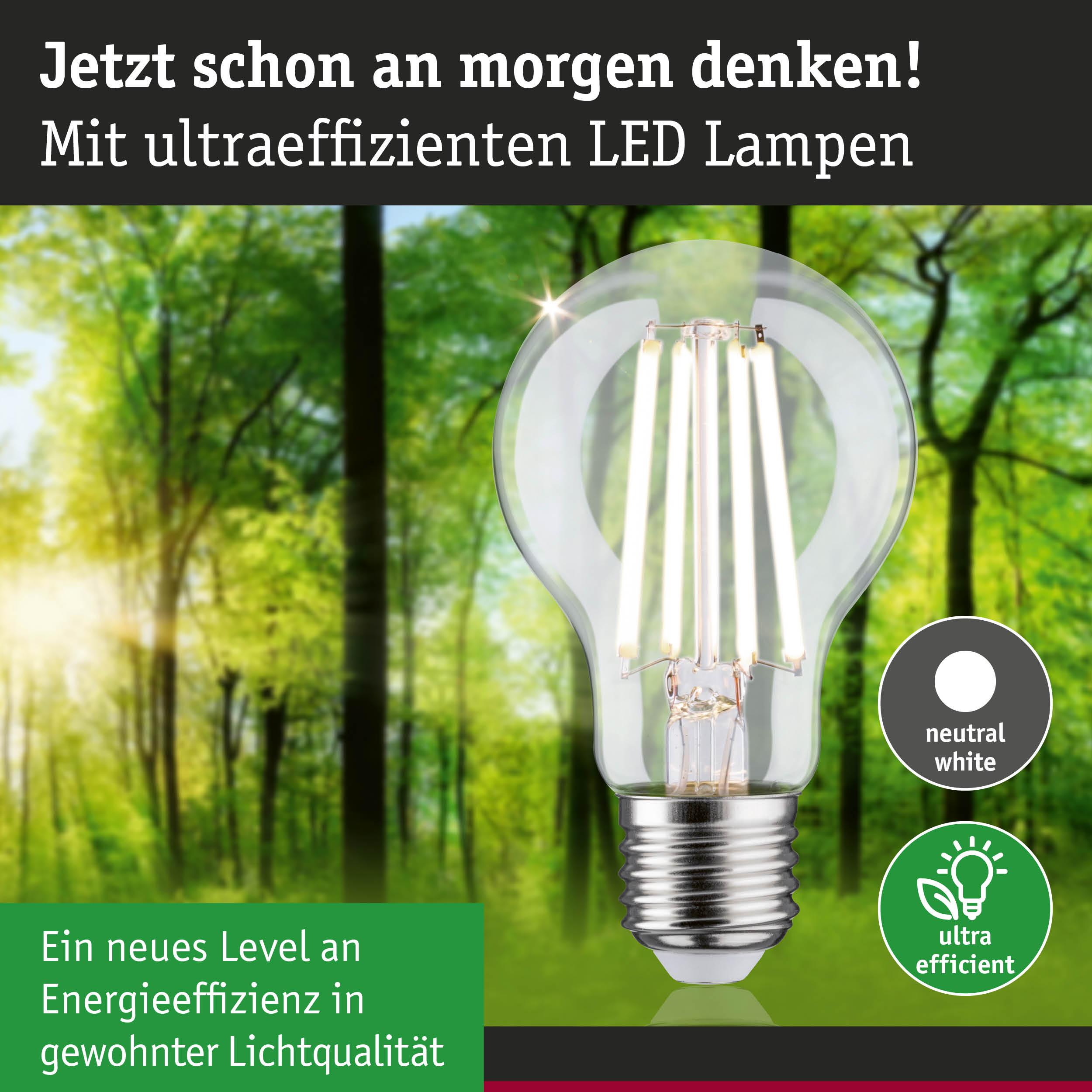 Eine LED-Lampe mit neutralweißem Licht vor einem Waldhintergrund.