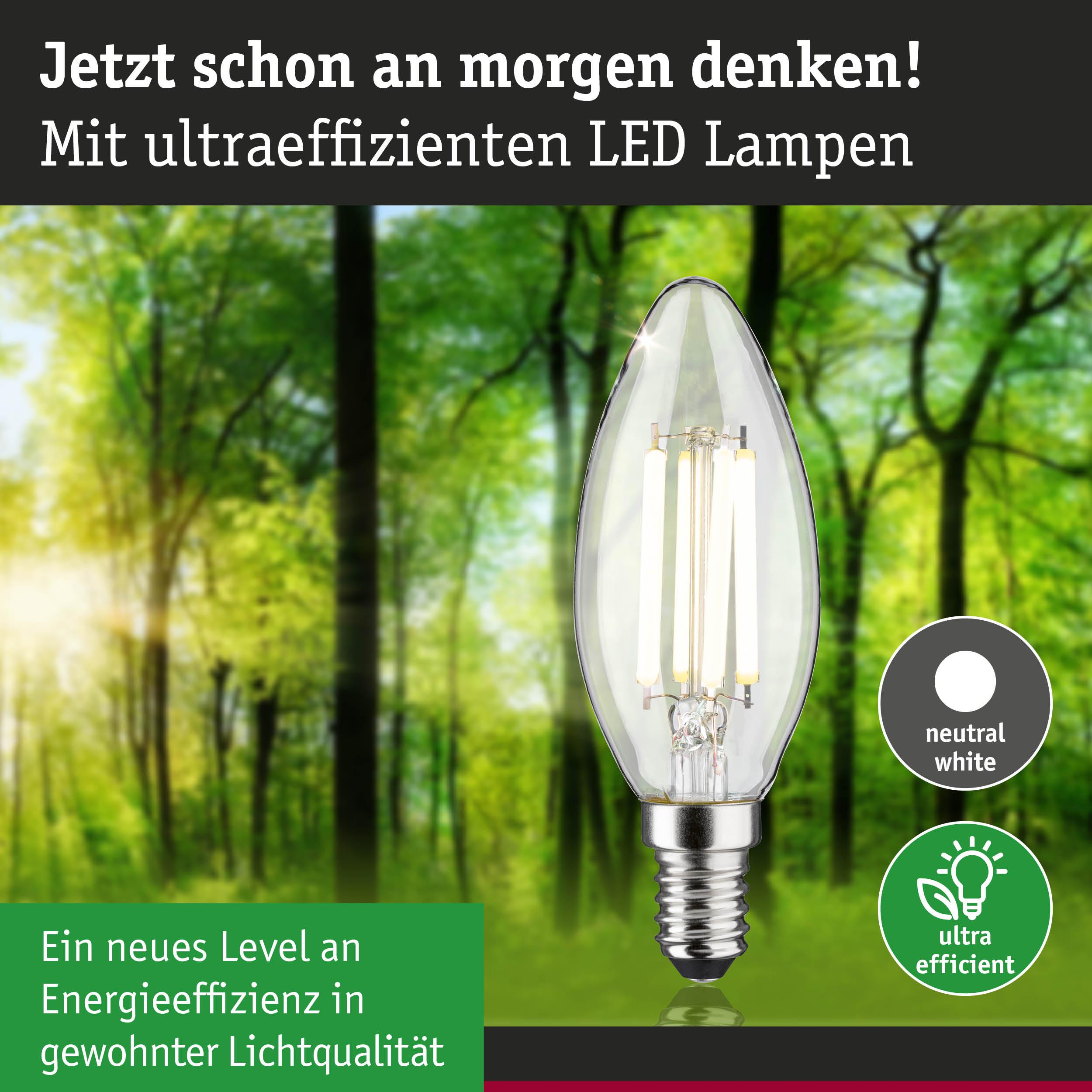 Eine LED-Lampe mit retro-Design steht vor einem unscharfen Waldhintergrund.