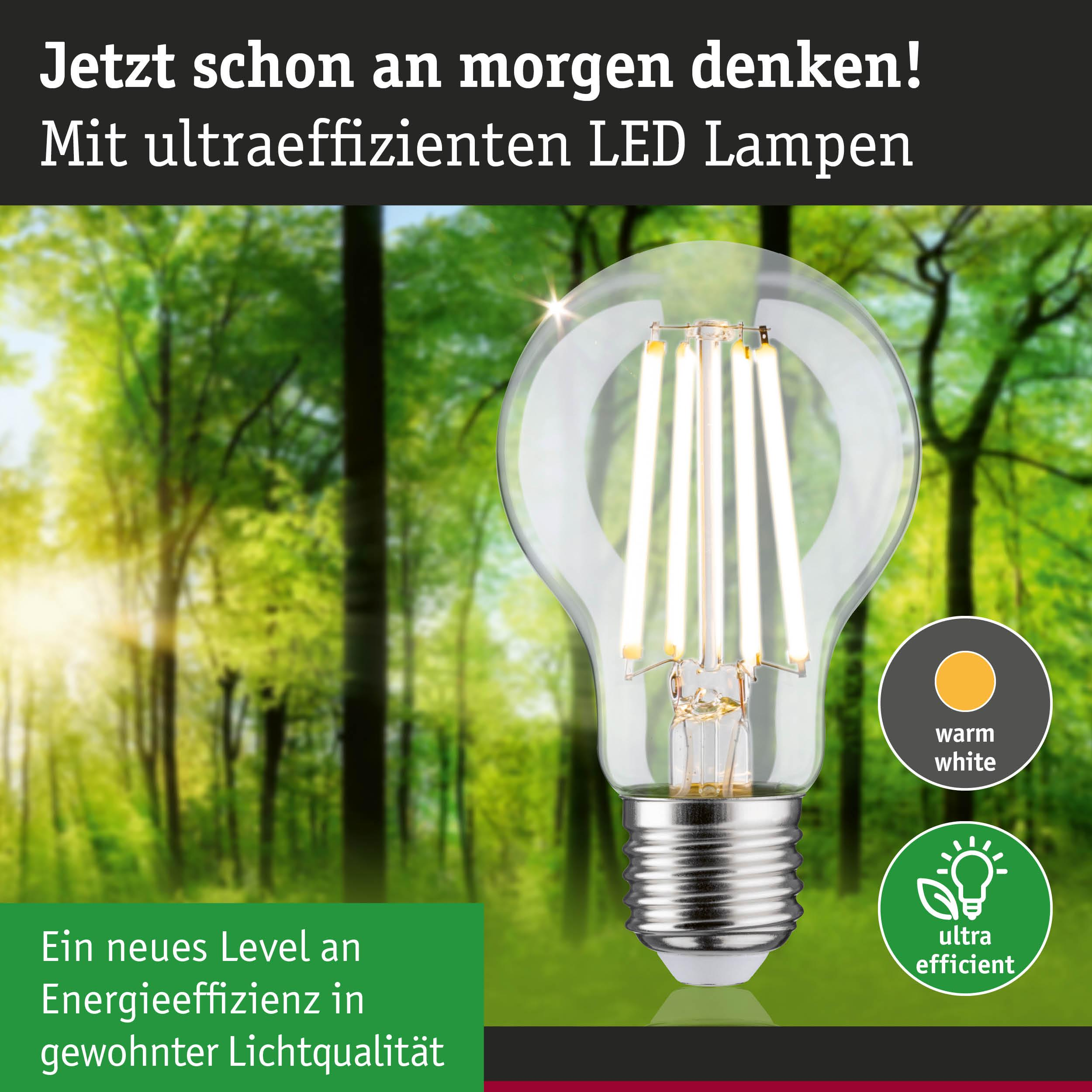 Eine LED-Lampe mit warmweißem Licht vor einem verschwommenen Wald.