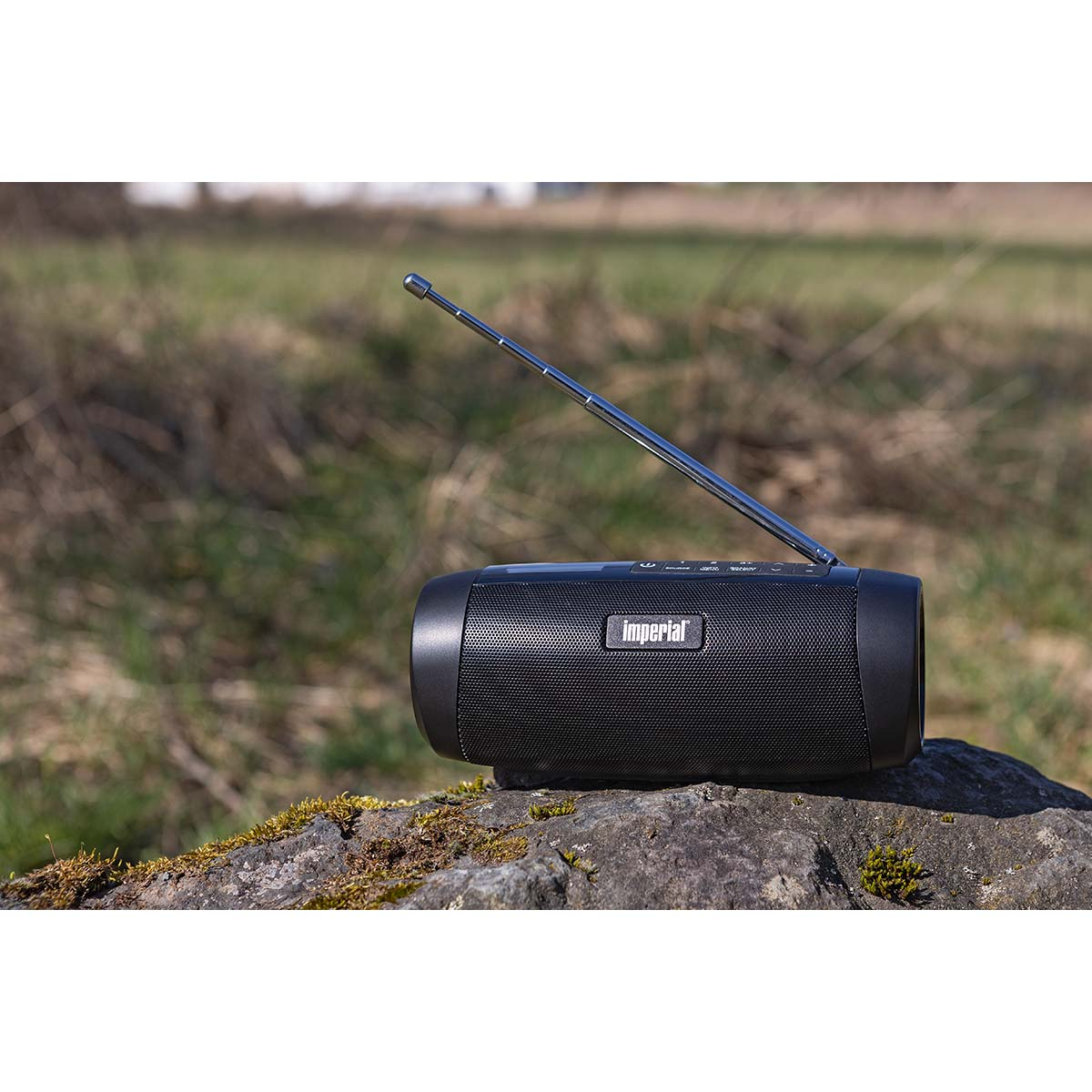 Ein schwarzes Imperial-Radio mit ausgefahrener Antenne steht auf einem bemoosten Stein.