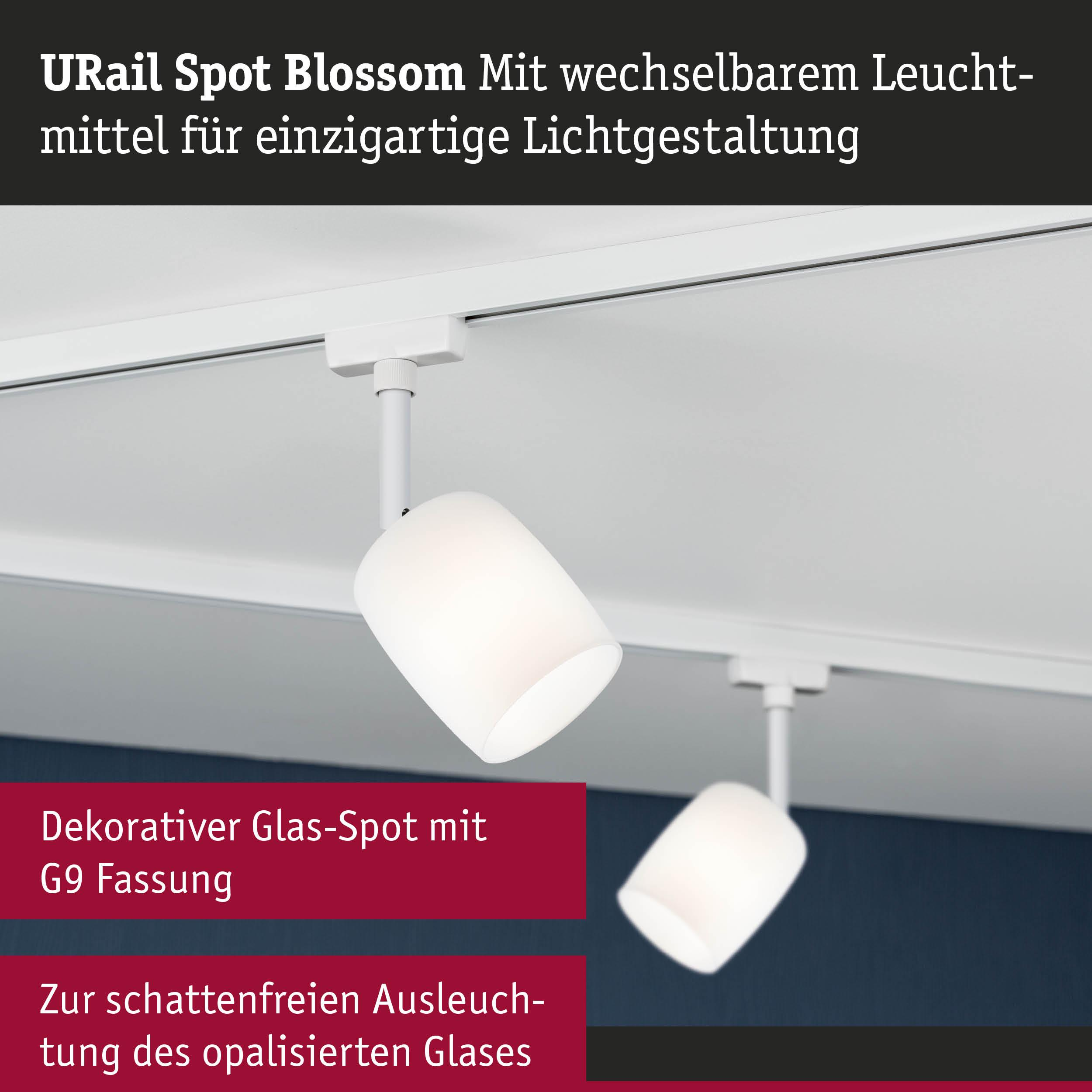 Weiße Schienenleuchten mit opalisierten Glasköpfen an einer Deckenleiste.