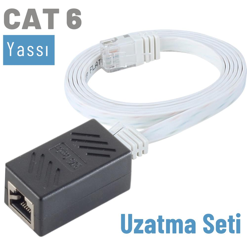 Siyah bir kuplörlü düz, beyaz CAT 6 ağ kablosu.