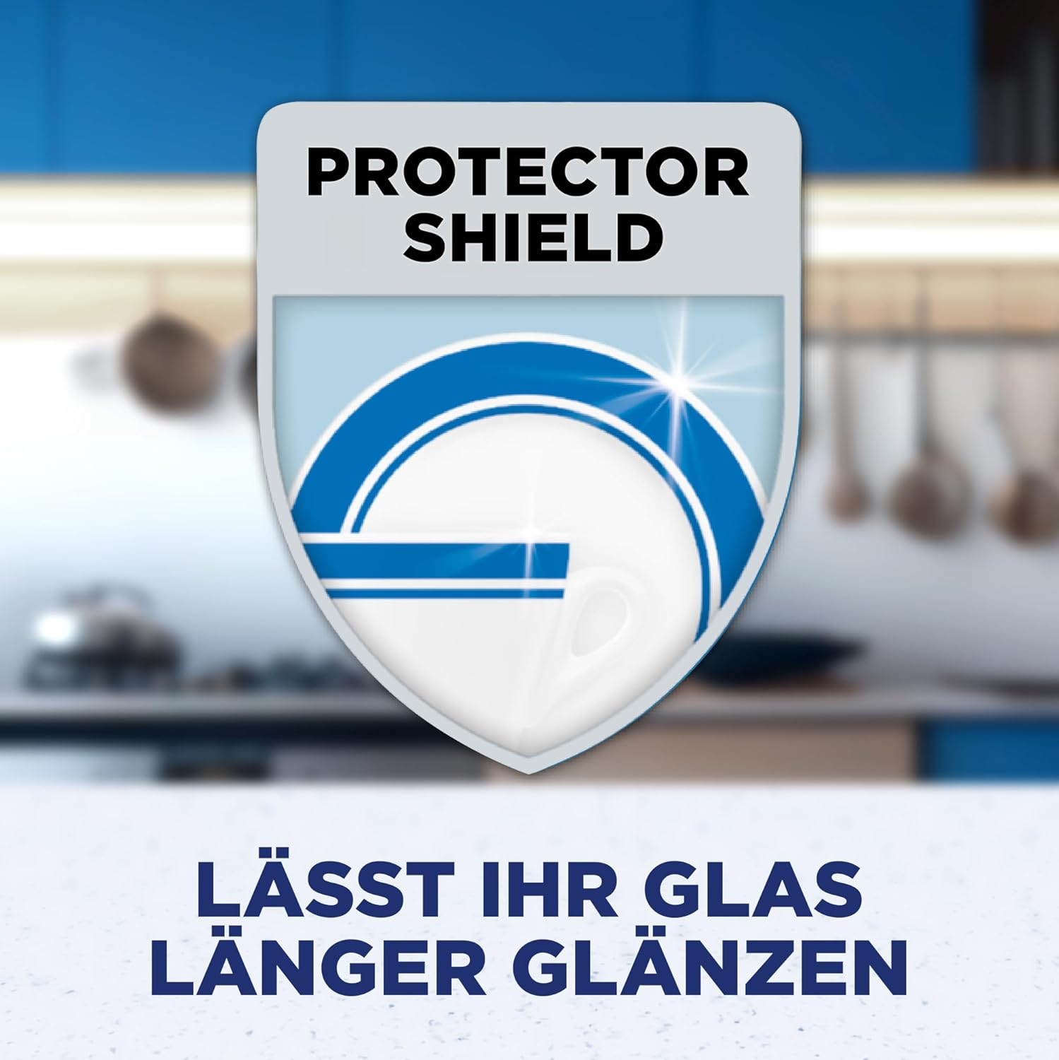 Schild mit 'PROTECTOR SHIELD' und Glanz-Symbol. Darunter Text.