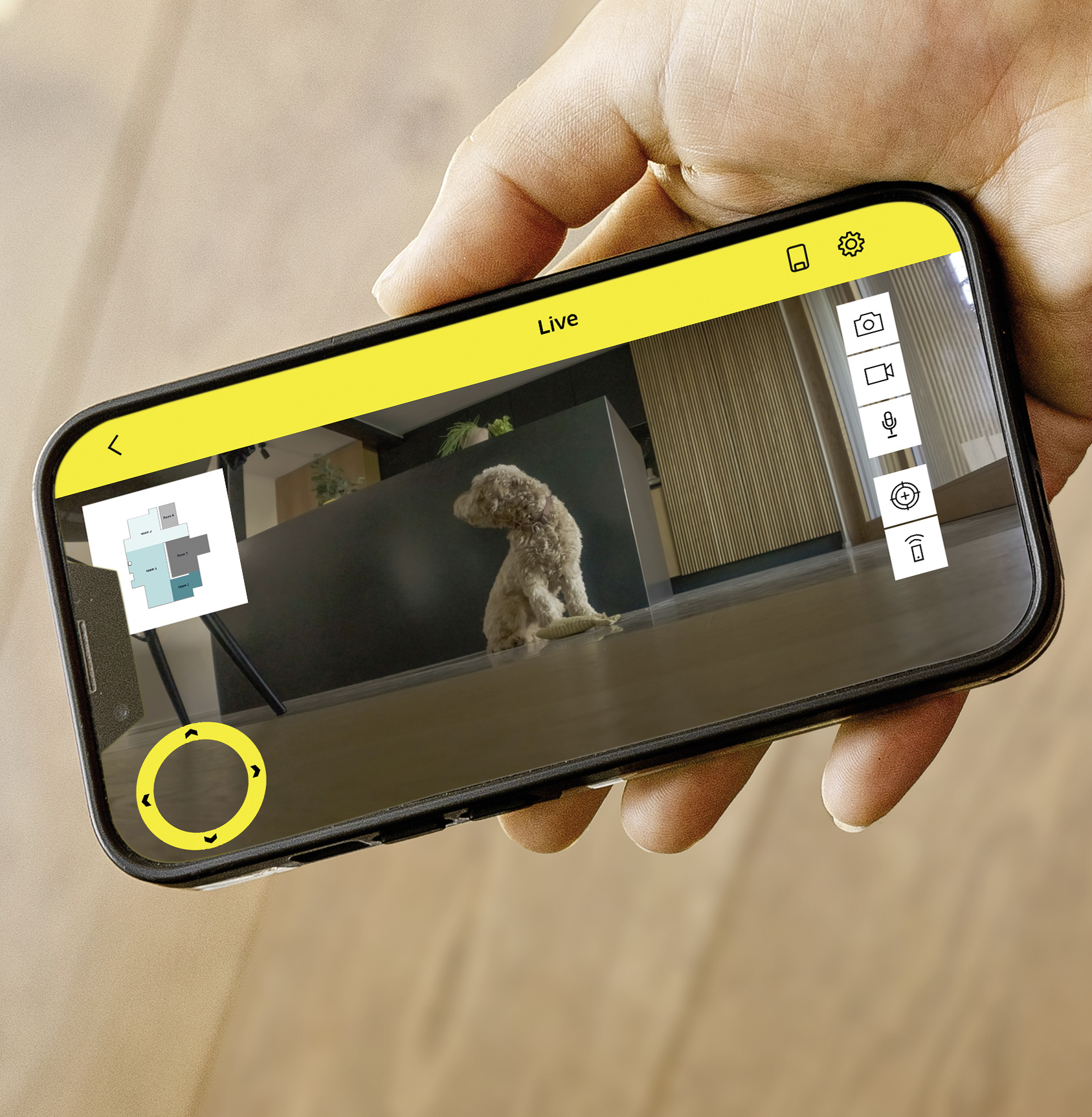 Ein Hund sitzt vor einem dunklen Schrank, gesehen auf einem Smartphone.